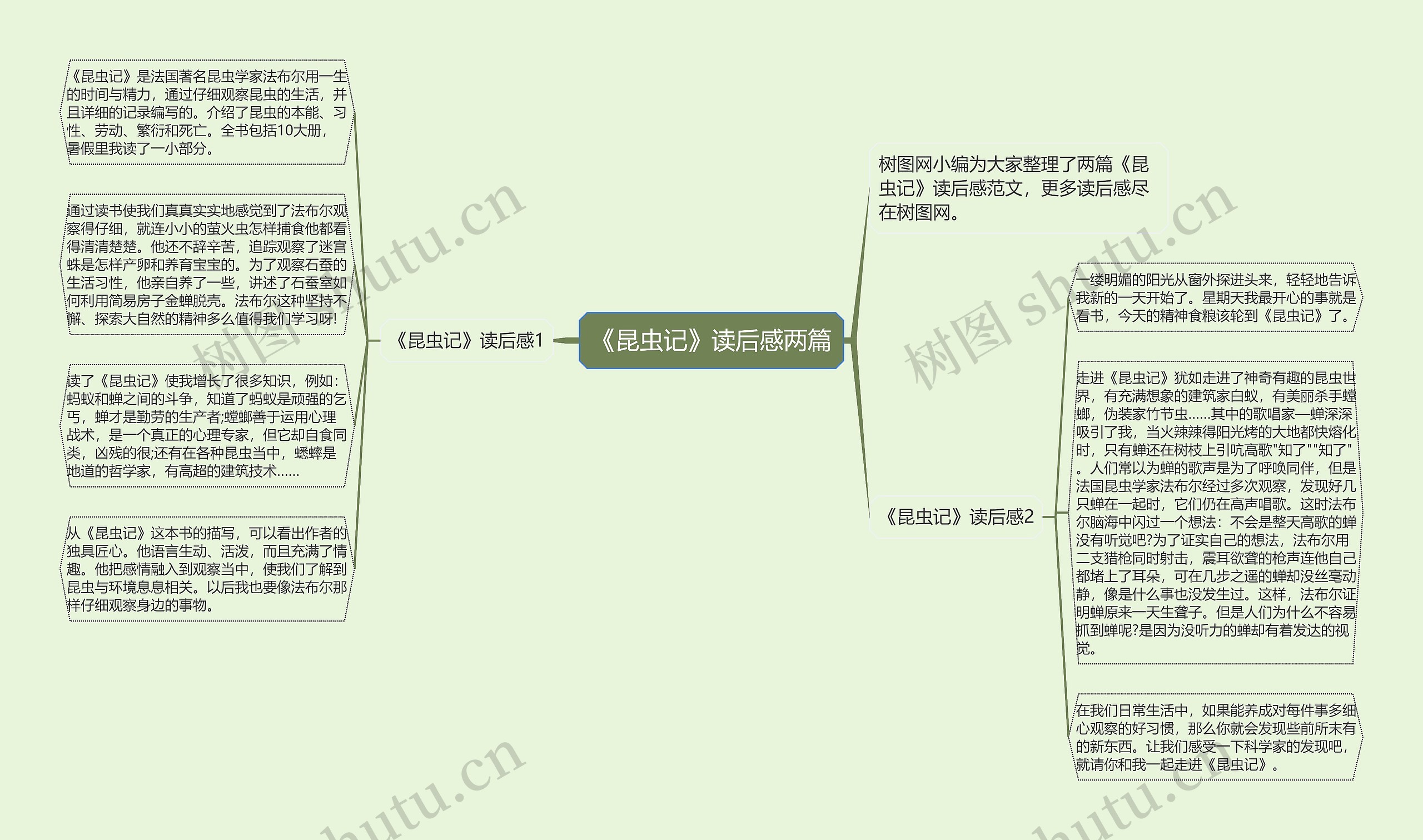 《昆虫记》读后感两篇