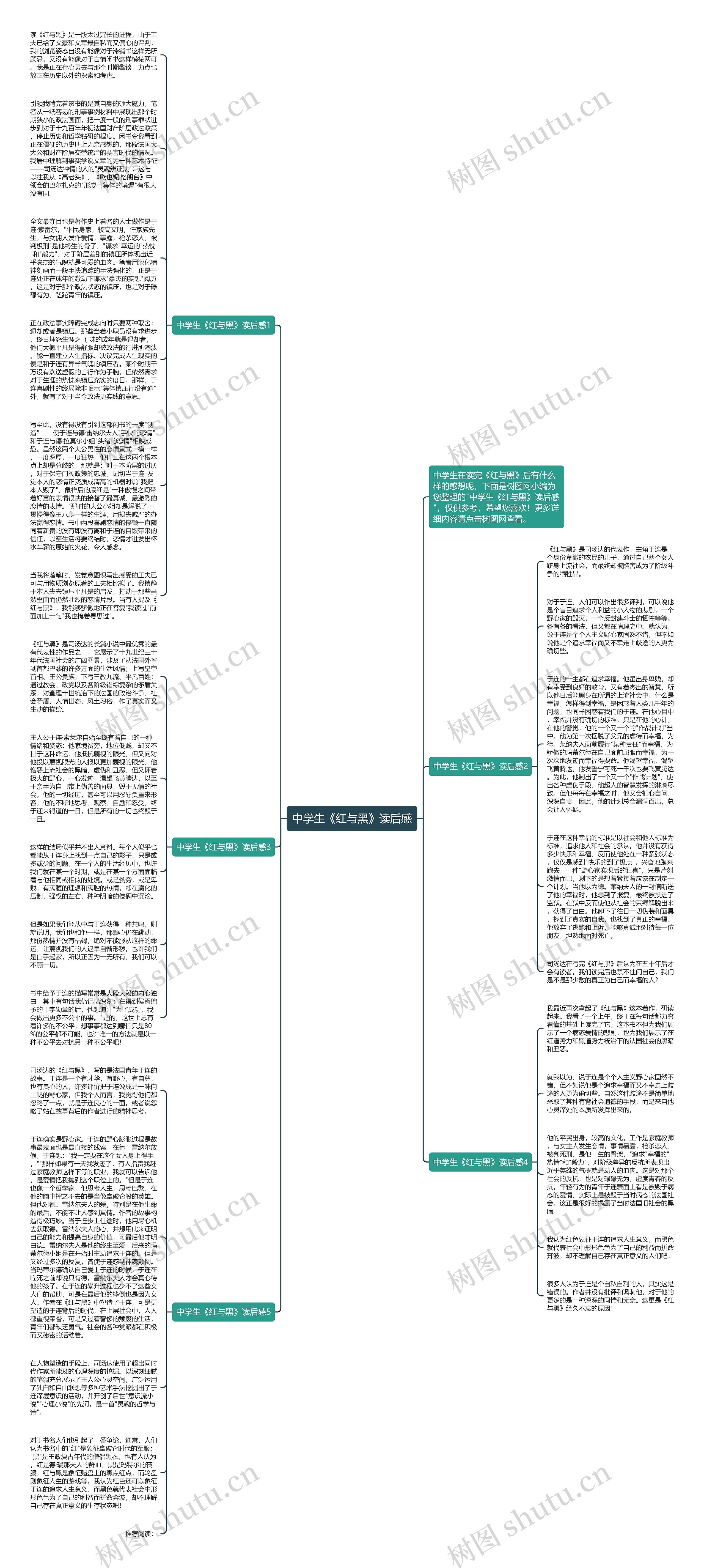 中学生《红与黑》读后感思维导图