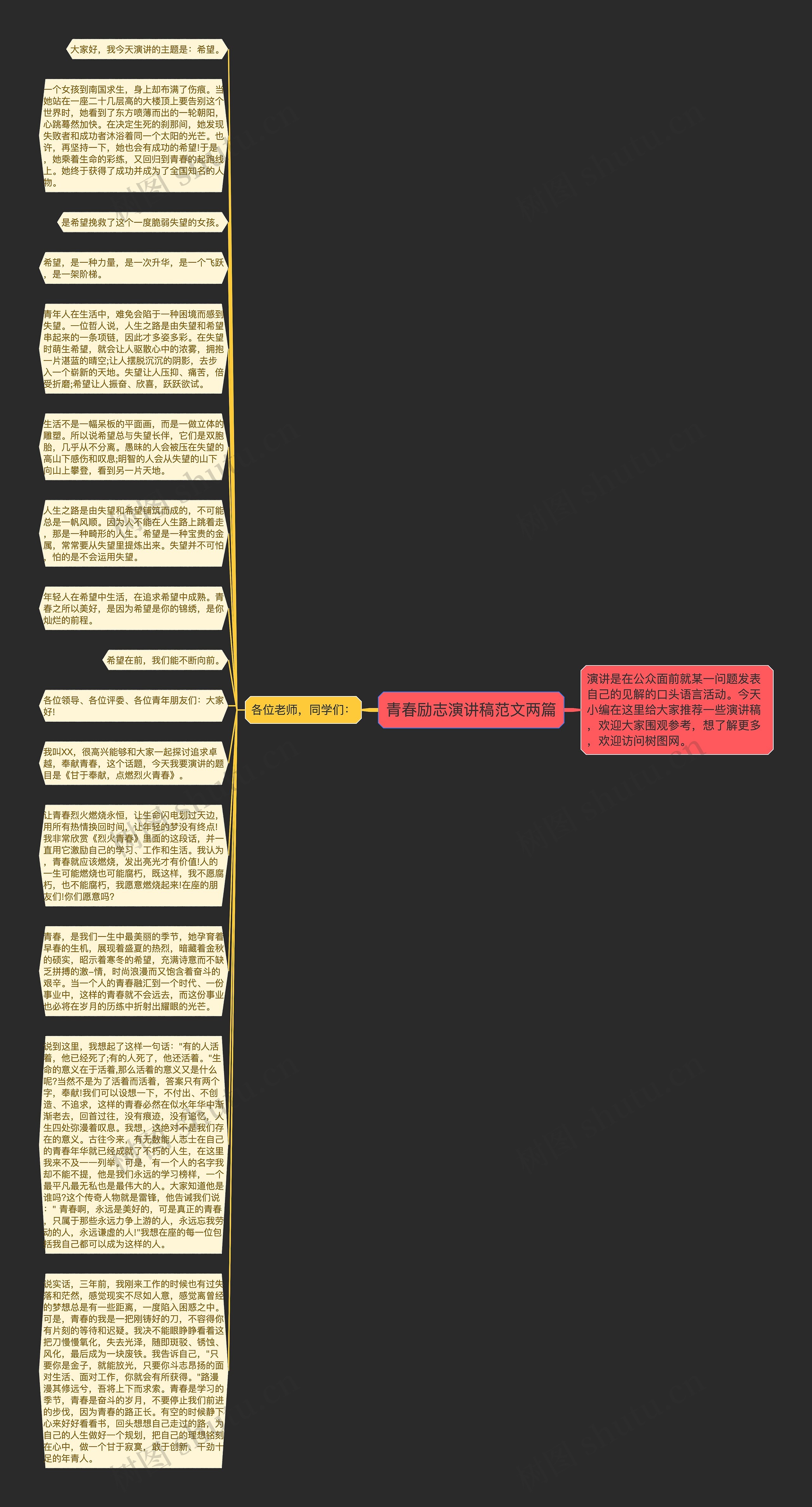 青春励志演讲稿范文两篇思维导图