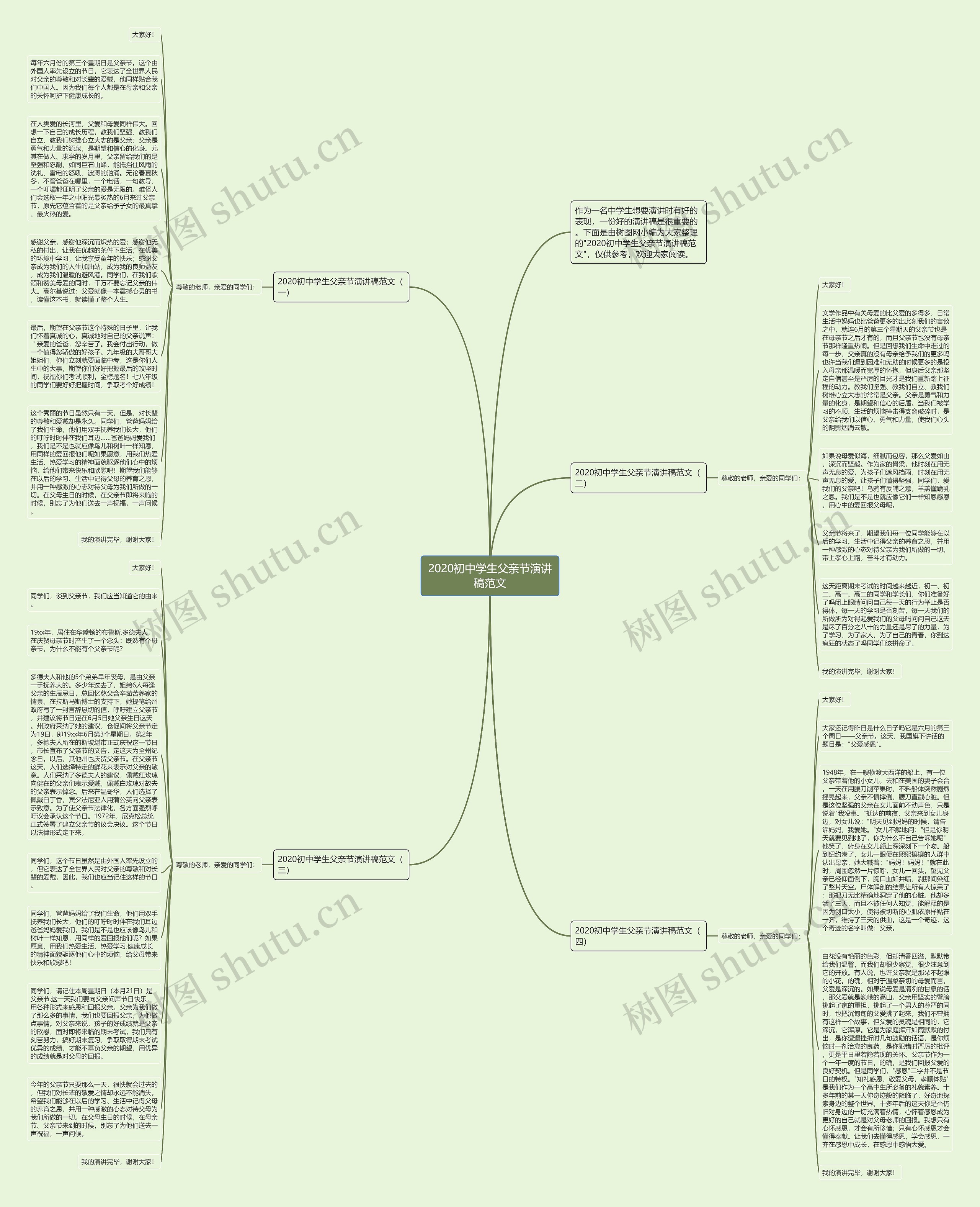 2020初中学生父亲节演讲稿范文思维导图