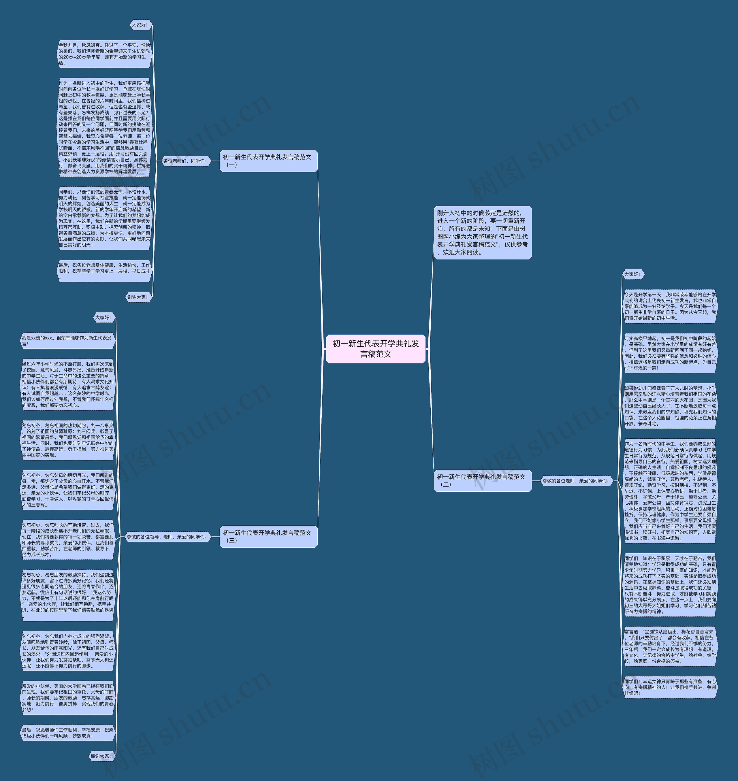 初一新生代表开学典礼发言稿范文思维导图