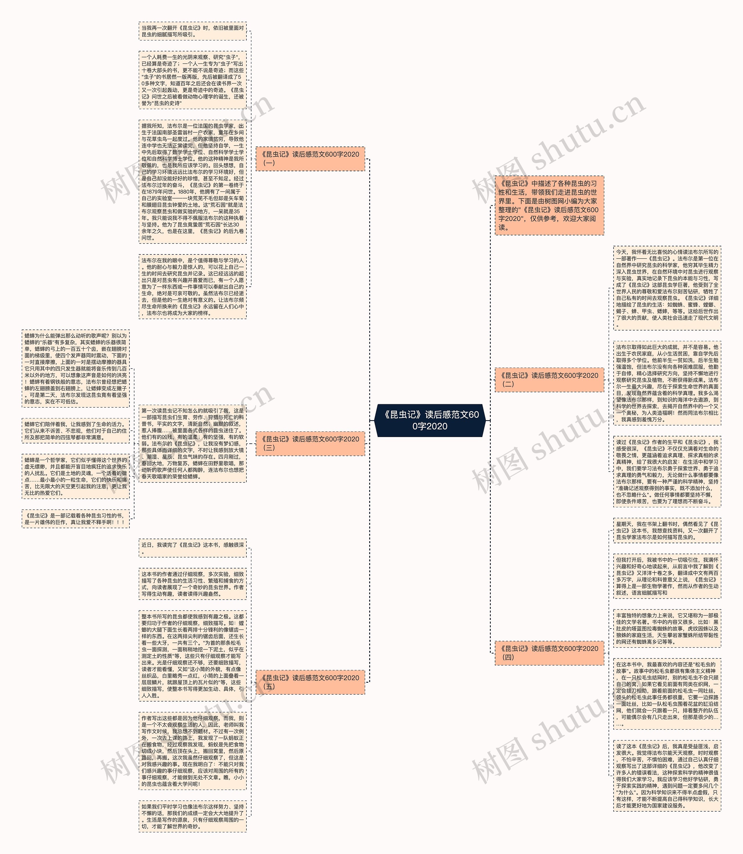 《昆虫记》读后感范文600字2020思维导图