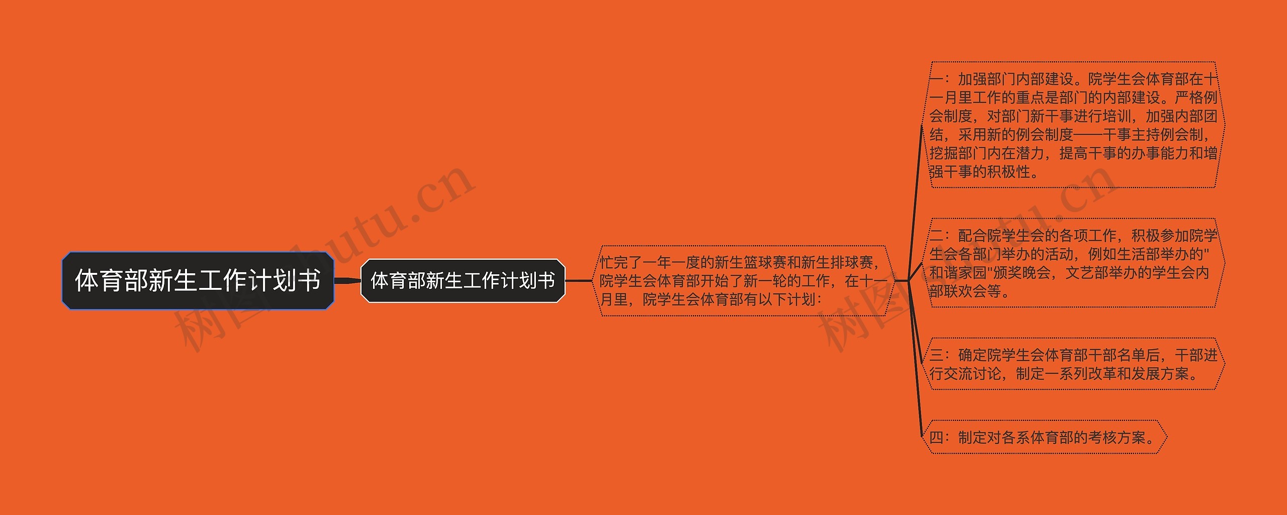 体育部新生工作计划书