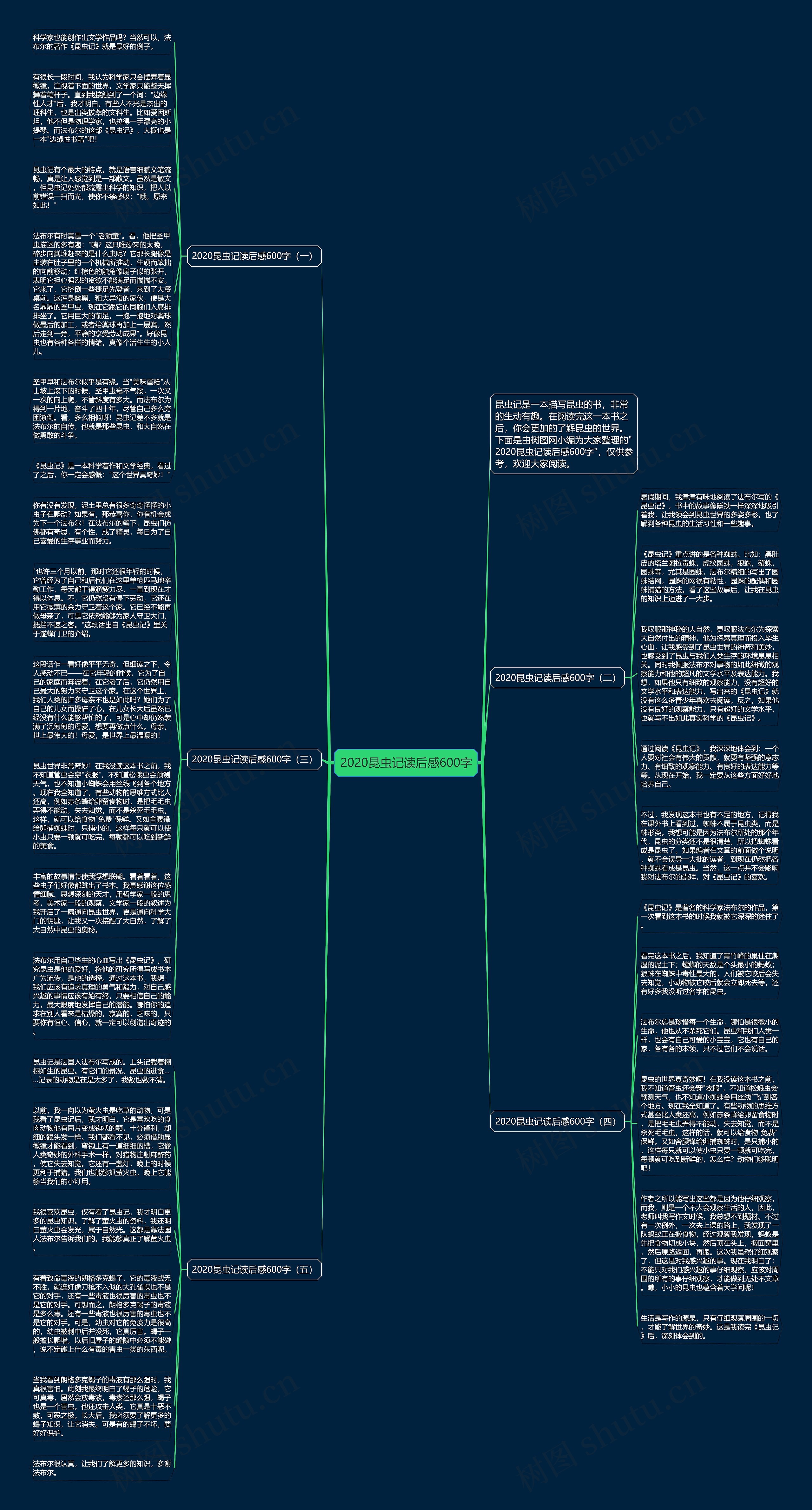 2020昆虫记读后感600字思维导图