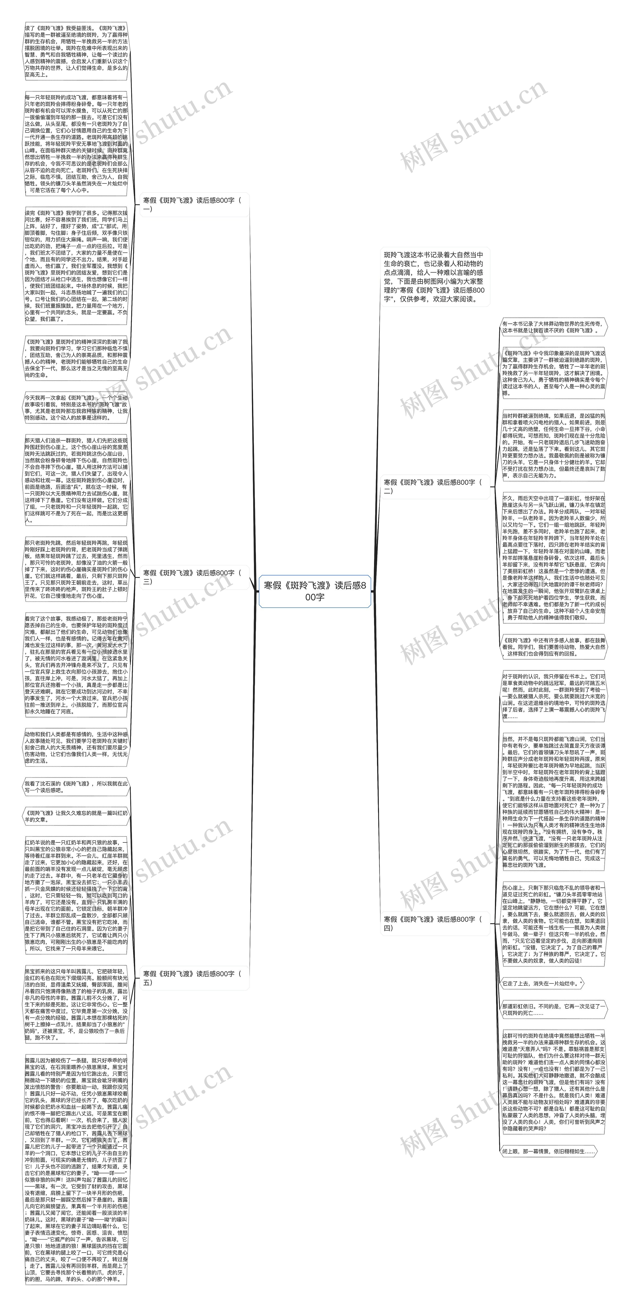 寒假《斑羚飞渡》读后感800字思维导图