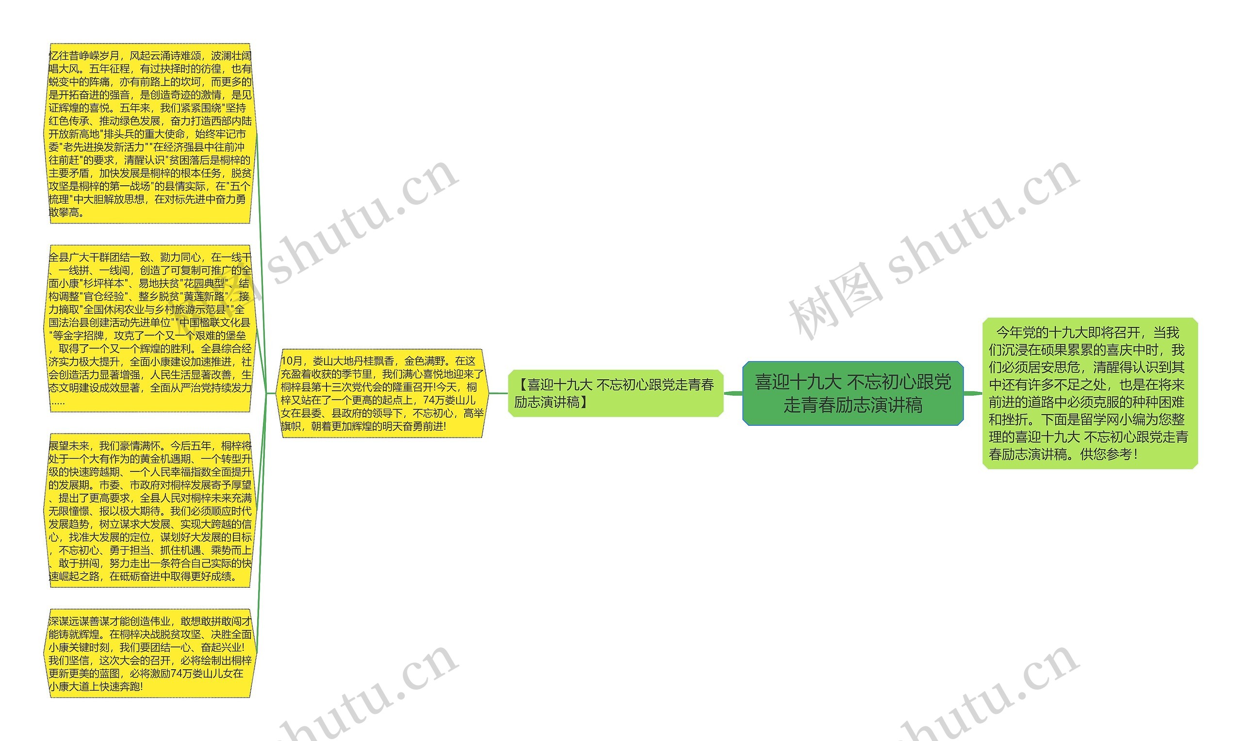 喜迎十九大 不忘初心跟党走青春励志演讲稿思维导图