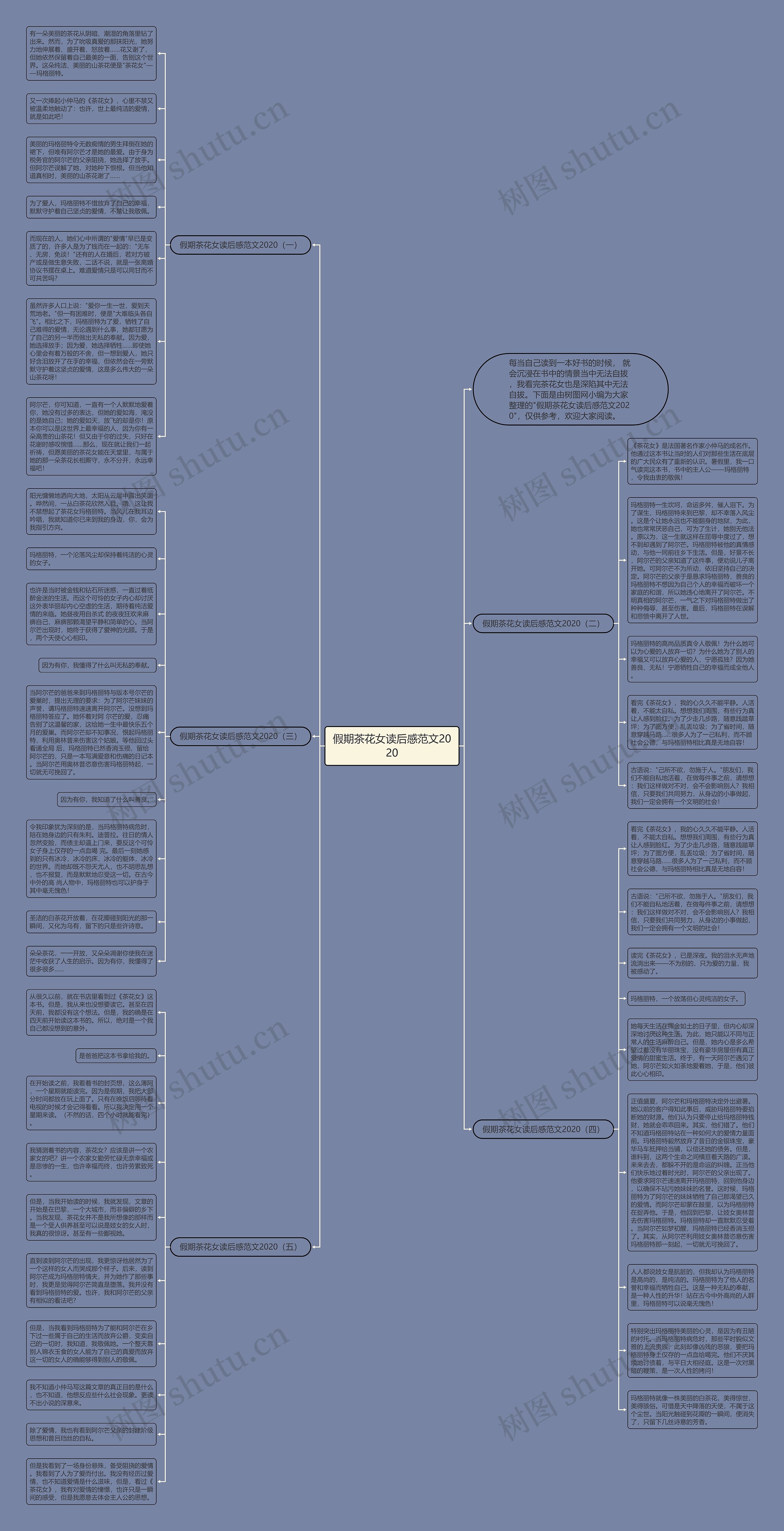 假期茶花女读后感范文2020思维导图