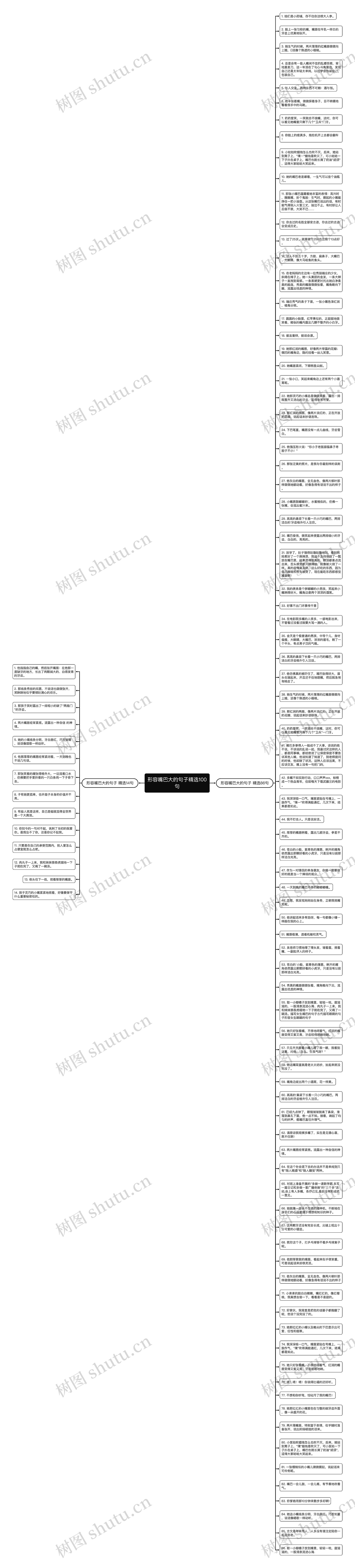 形容嘴巴大的句子精选100句思维导图