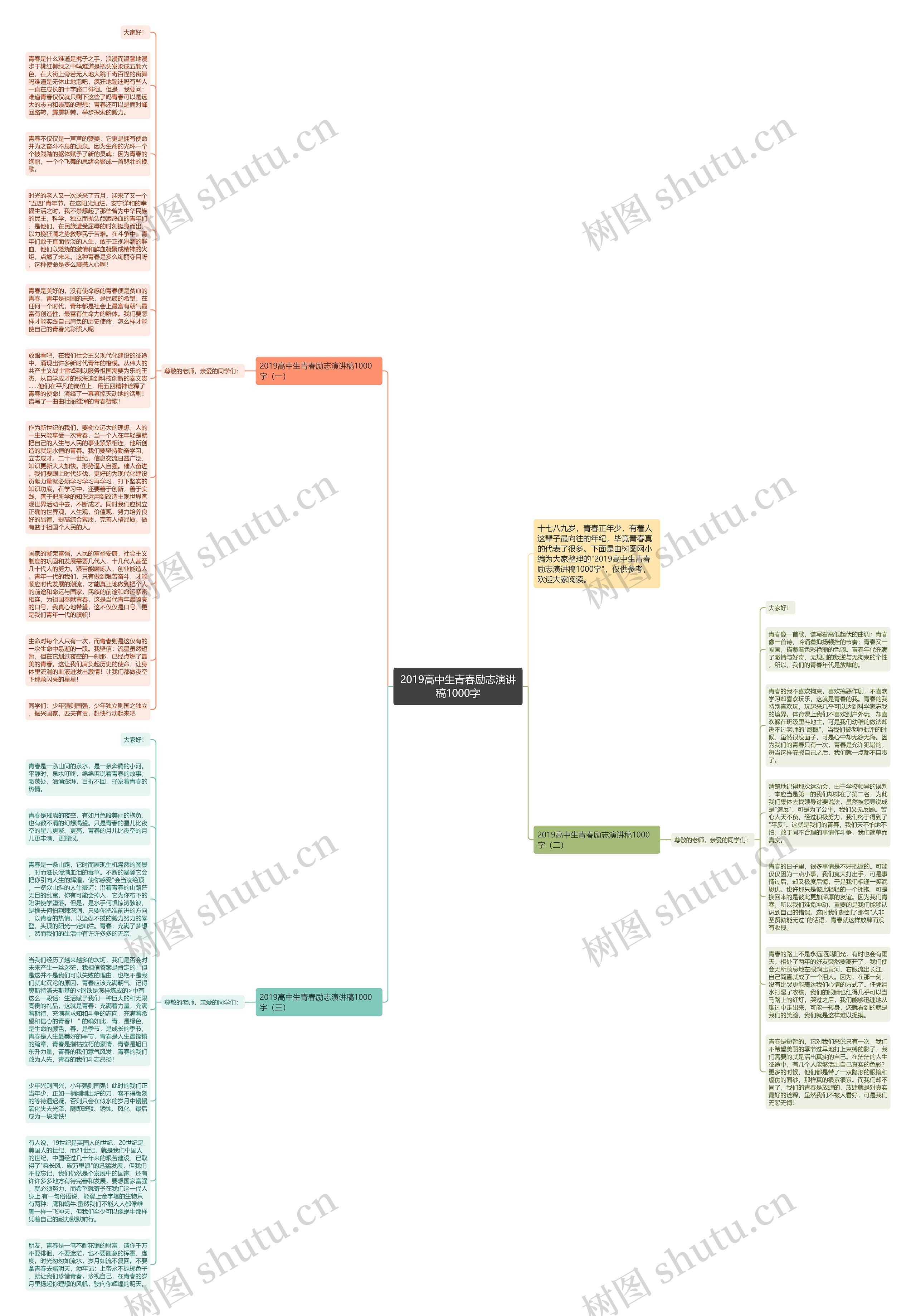 2019高中生青春励志演讲稿1000字思维导图