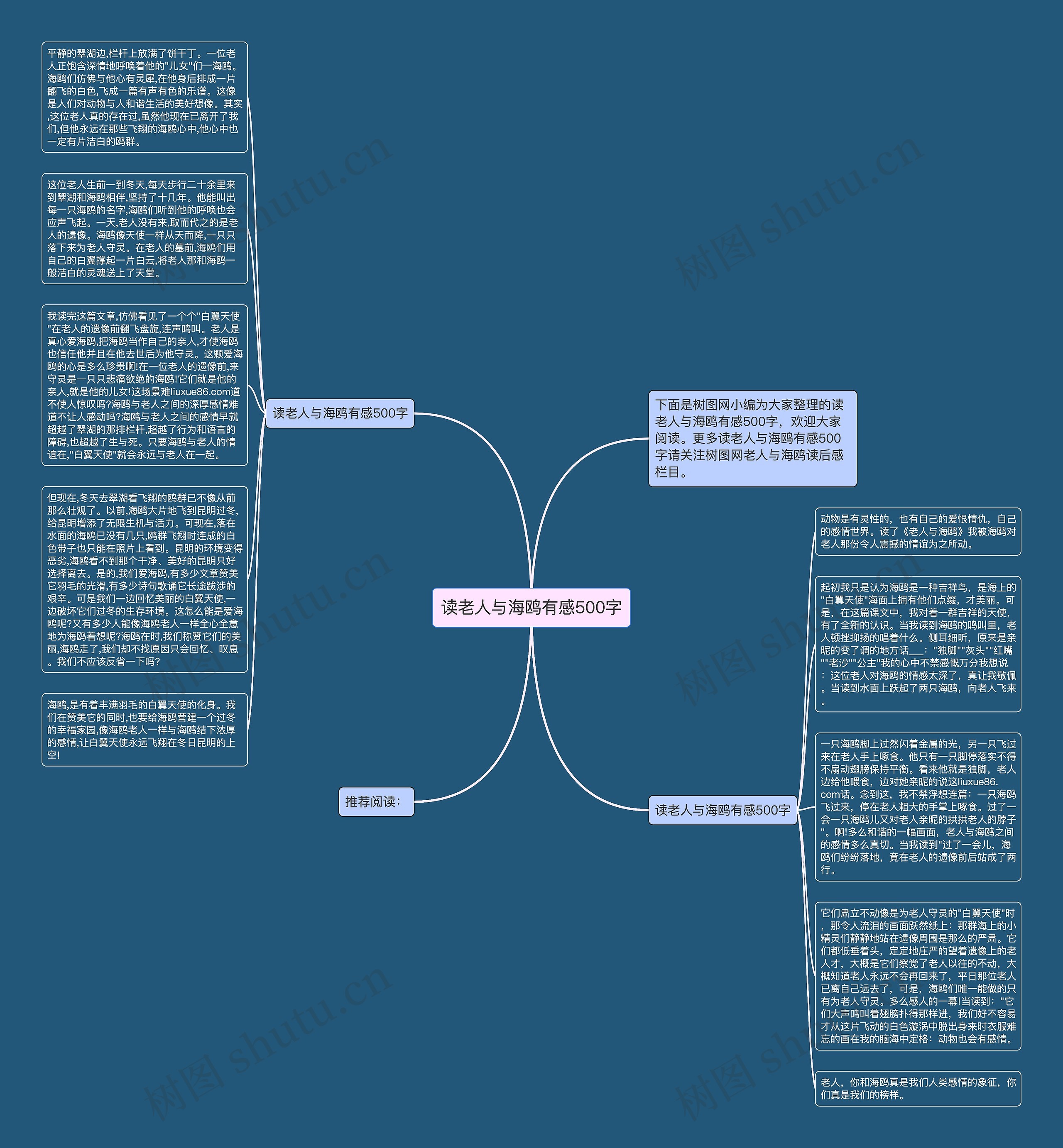 读老人与海鸥有感500字思维导图