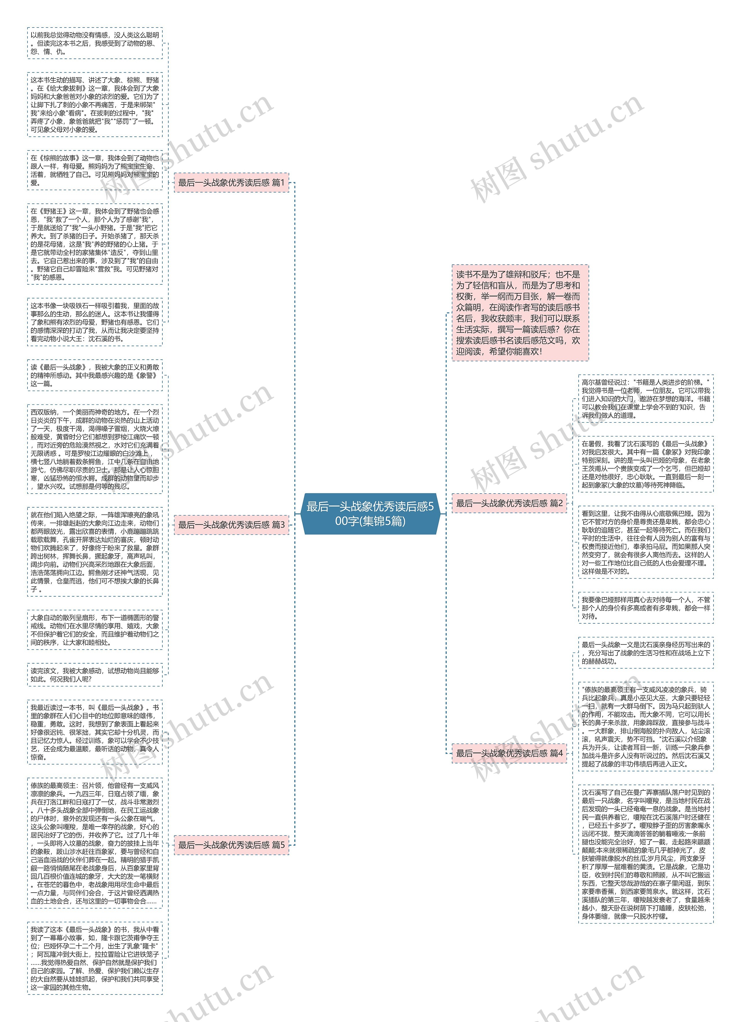 最后一头战象优秀读后感500字(集锦5篇)思维导图