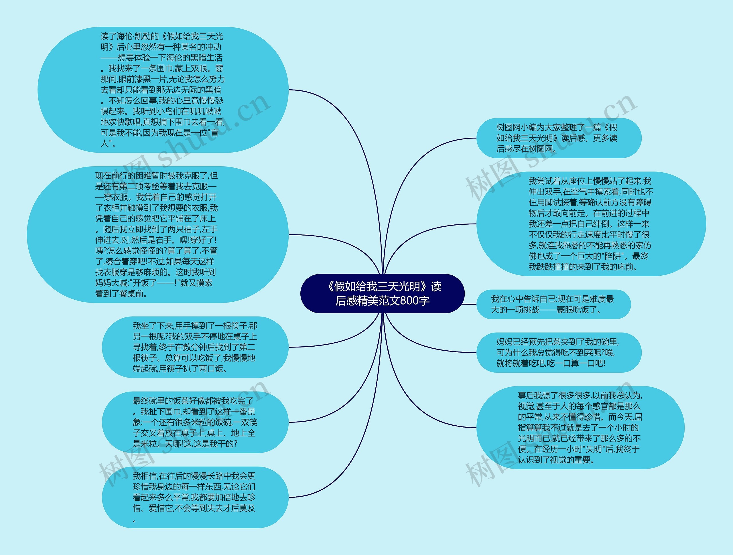 《假如给我三天光明》读后感精美范文800字思维导图