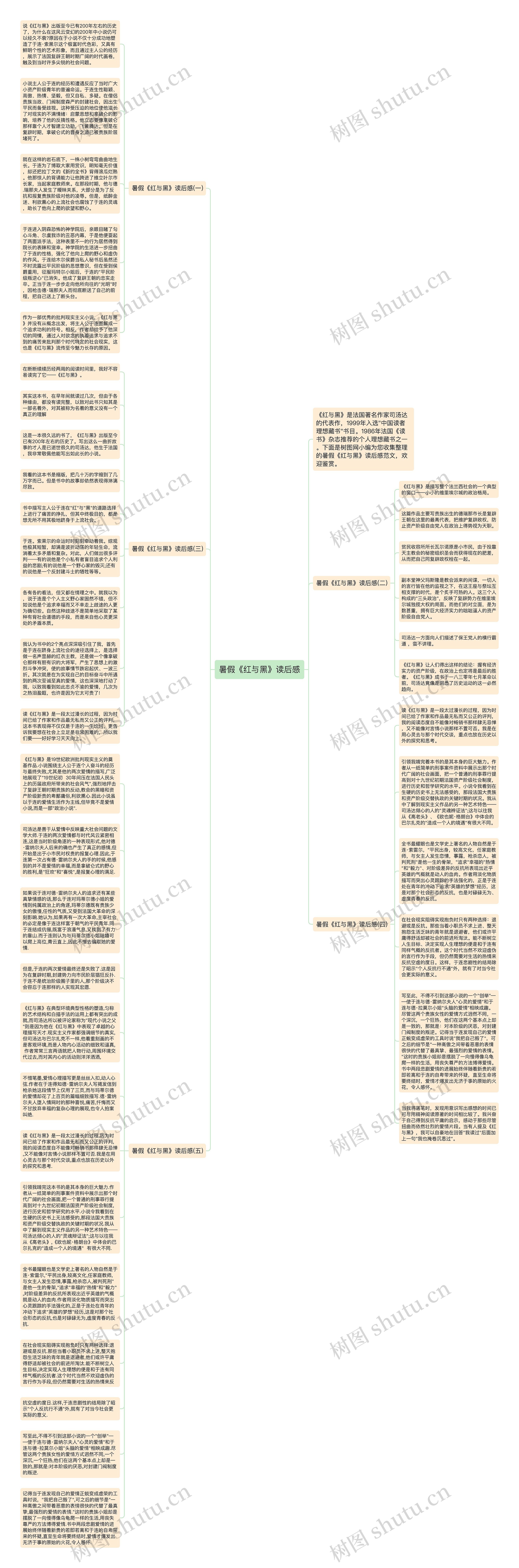 暑假《红与黑》读后感思维导图