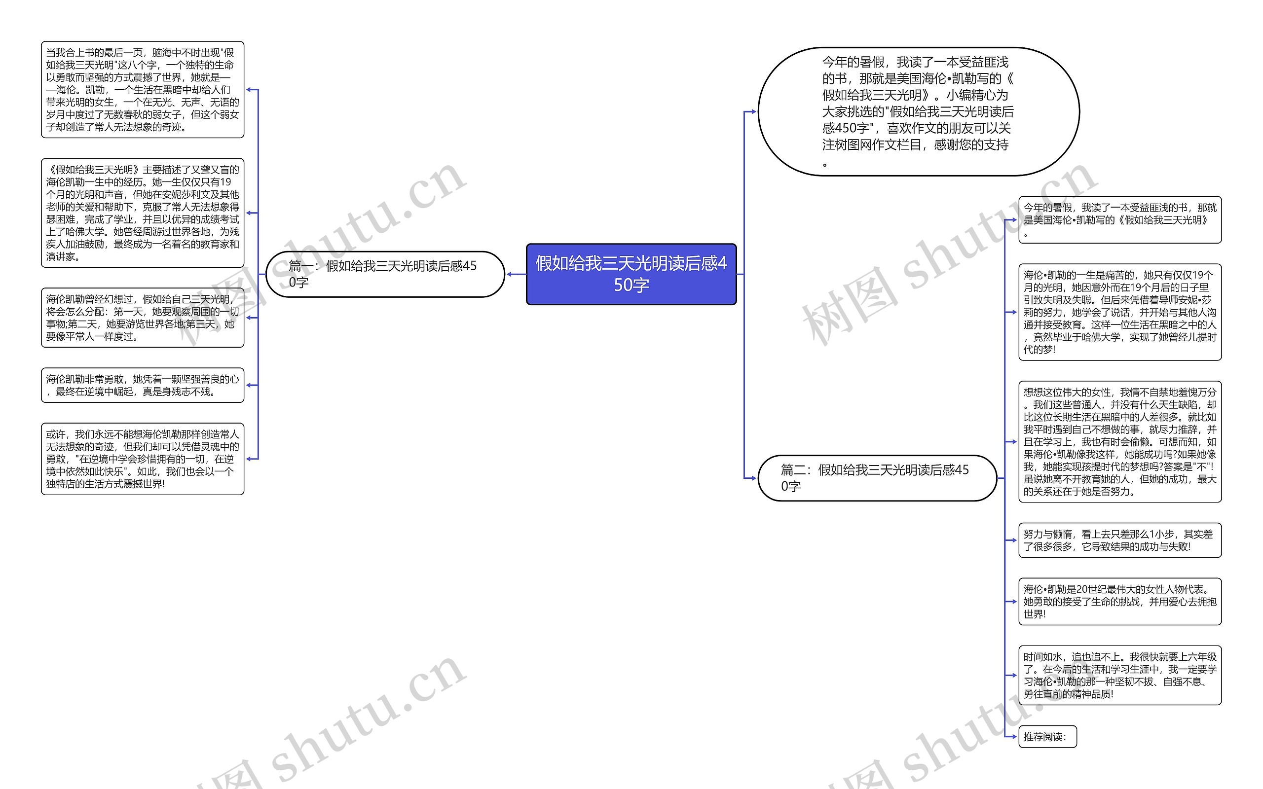 假如给我三天光明读后感450字思维导图