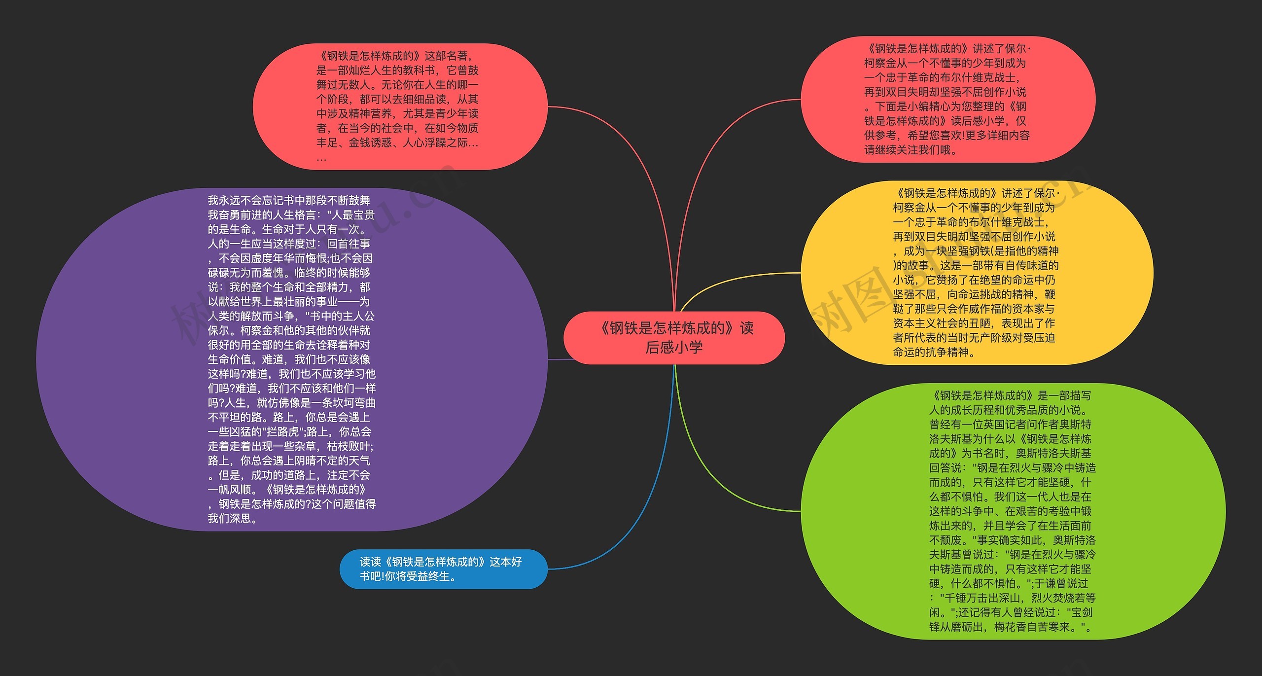 《钢铁是怎样炼成的》读后感小学思维导图