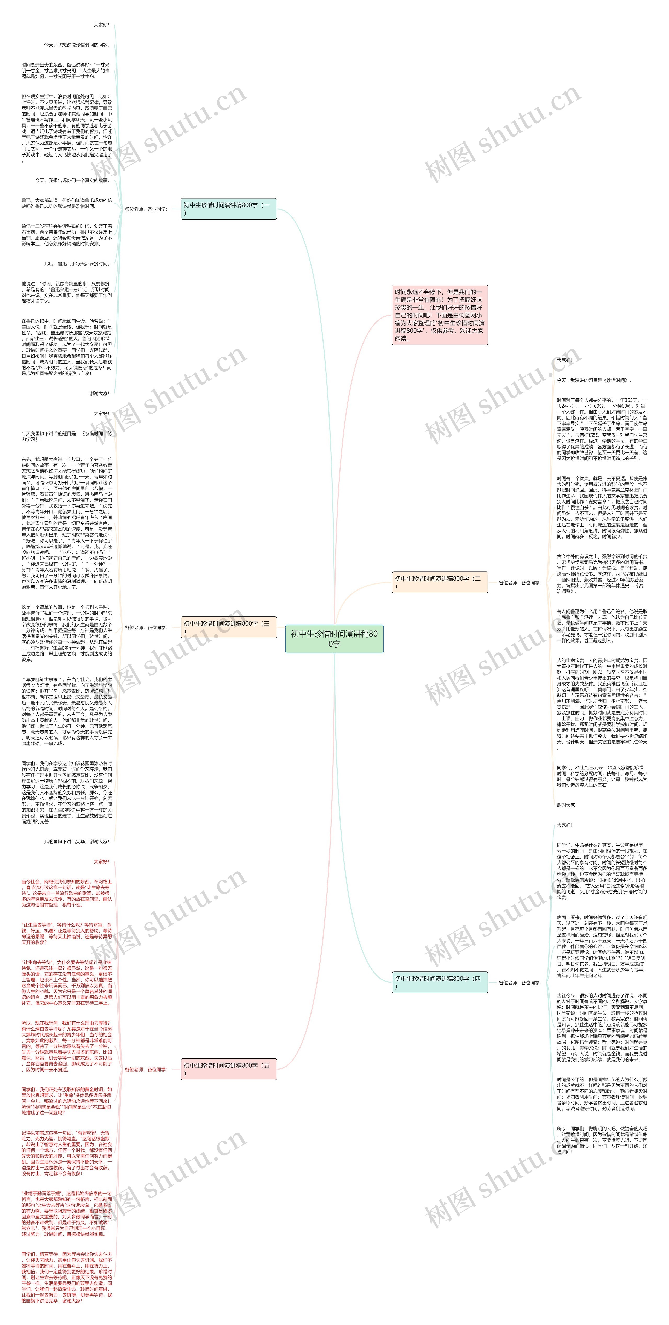 初中生珍惜时间演讲稿800字思维导图