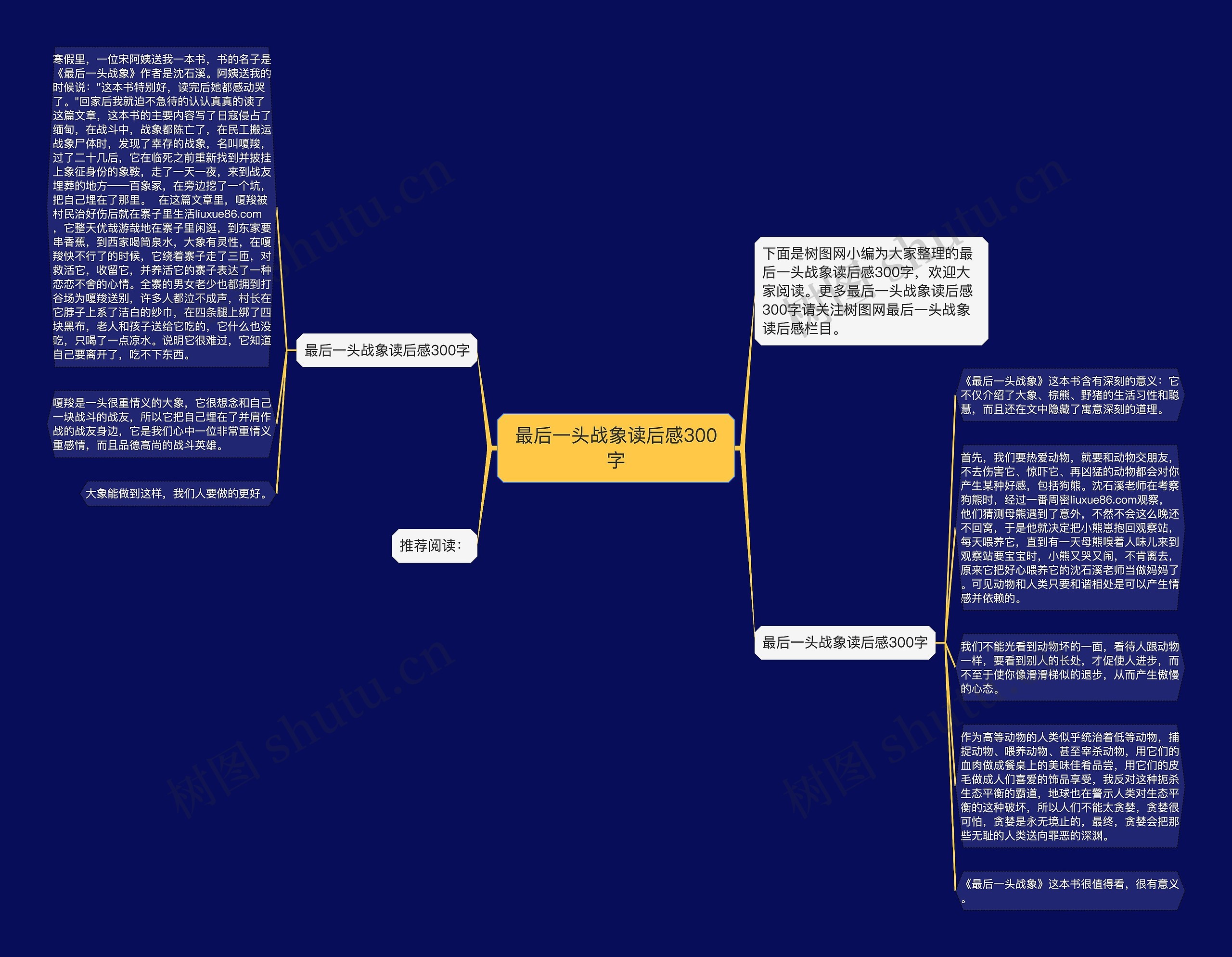 最后一头战象读后感300字