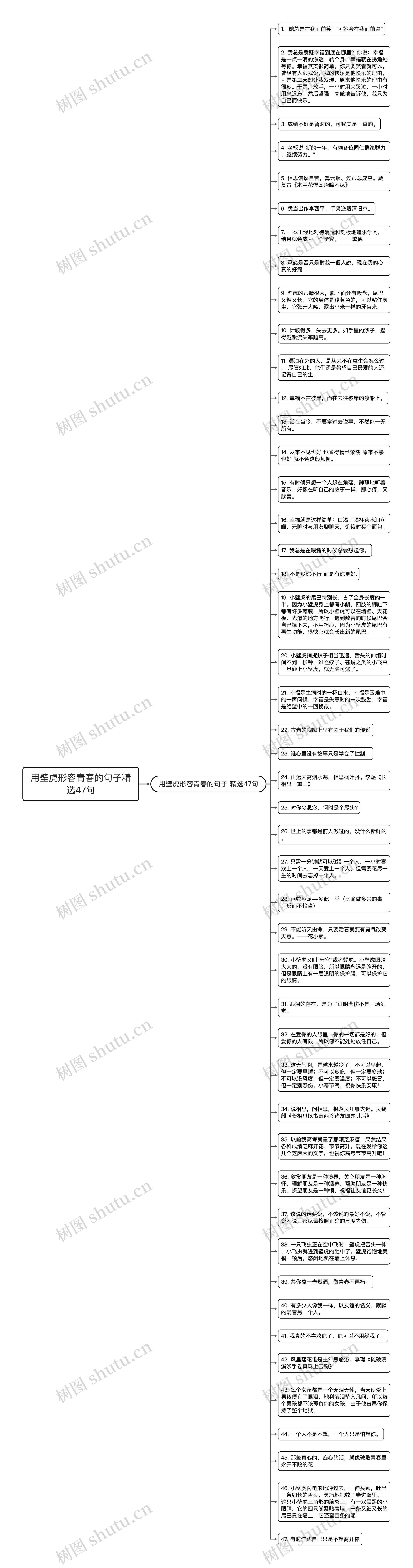 用壁虎形容青春的句子精选47句思维导图