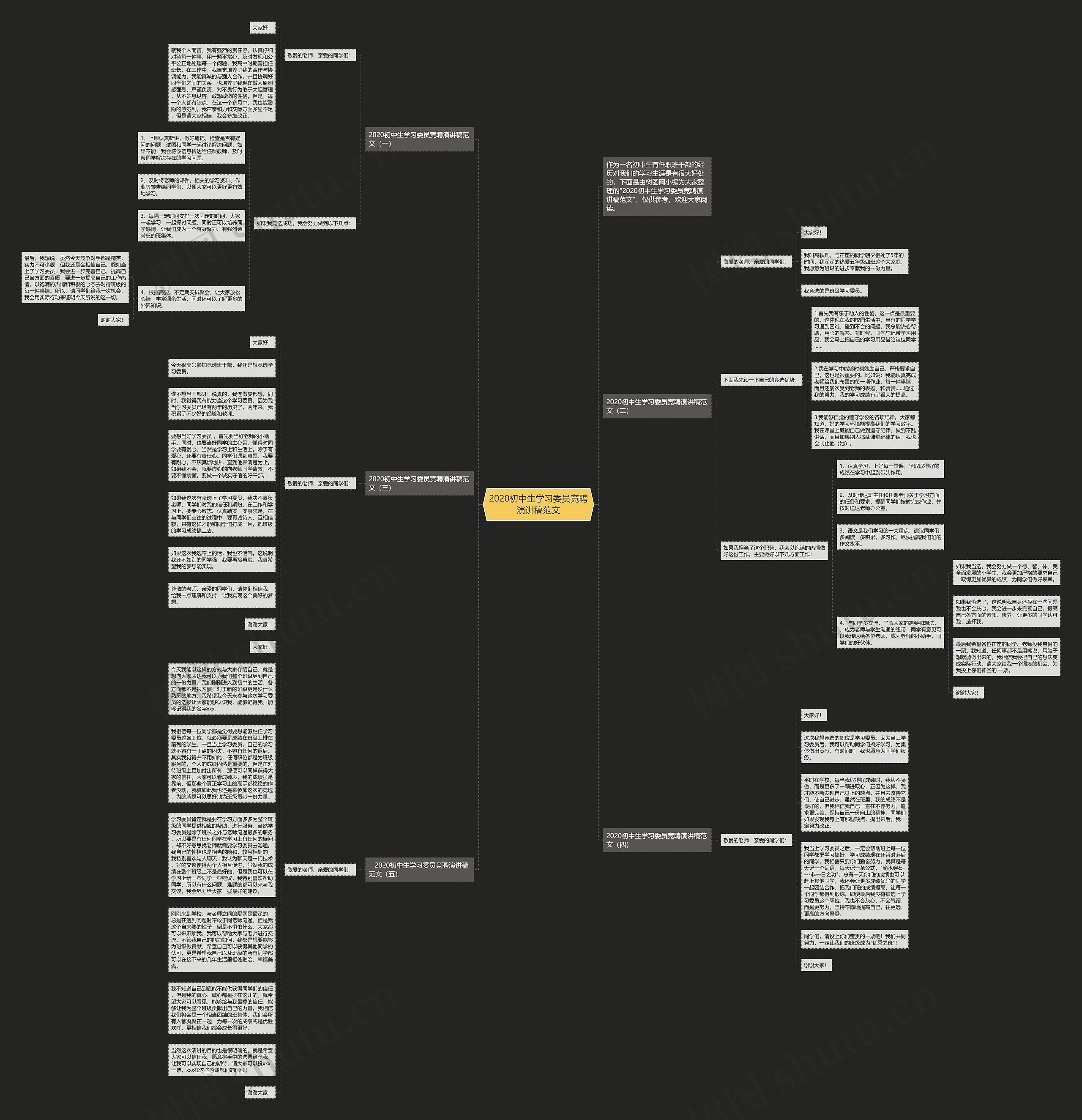 2020初中生学习委员竞聘演讲稿范文思维导图