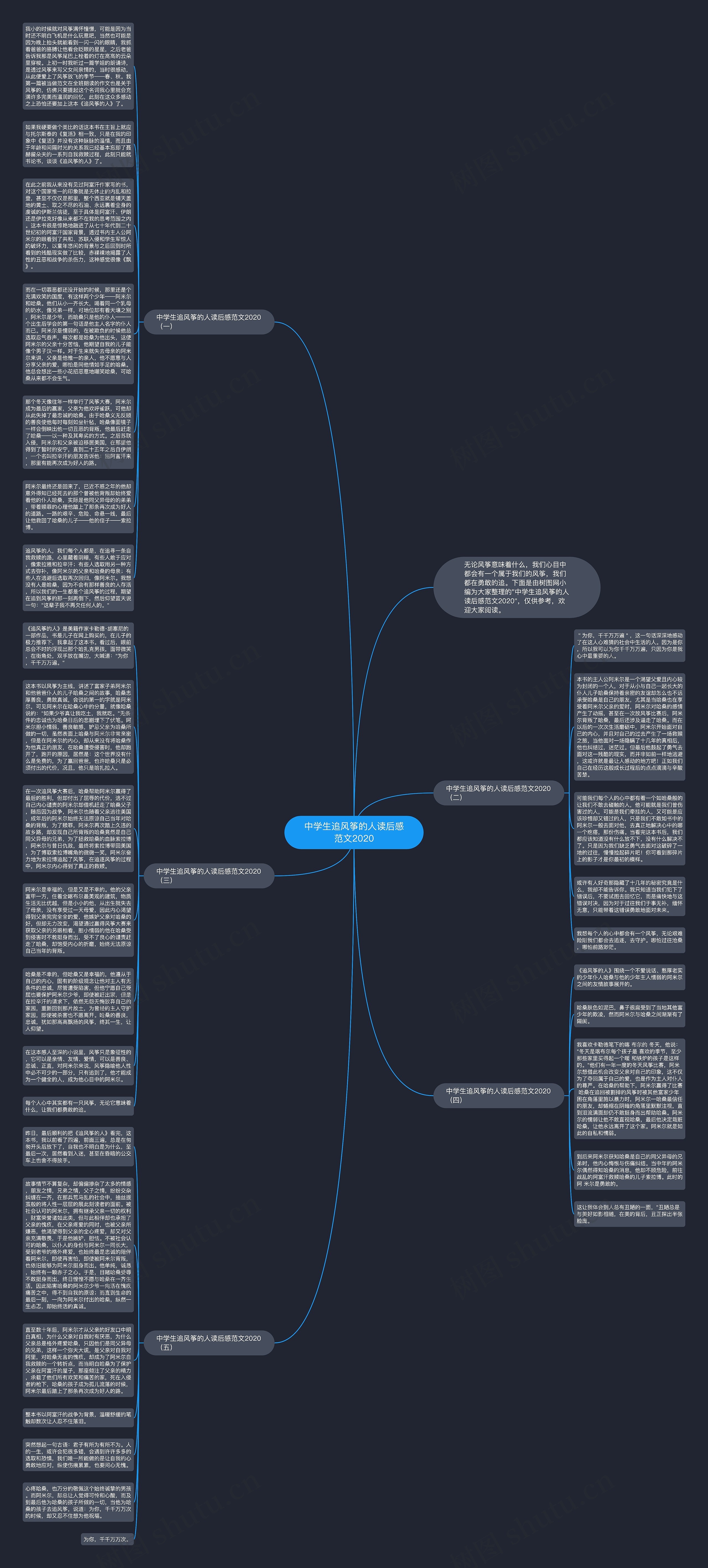 中学生追风筝的人读后感范文2020思维导图