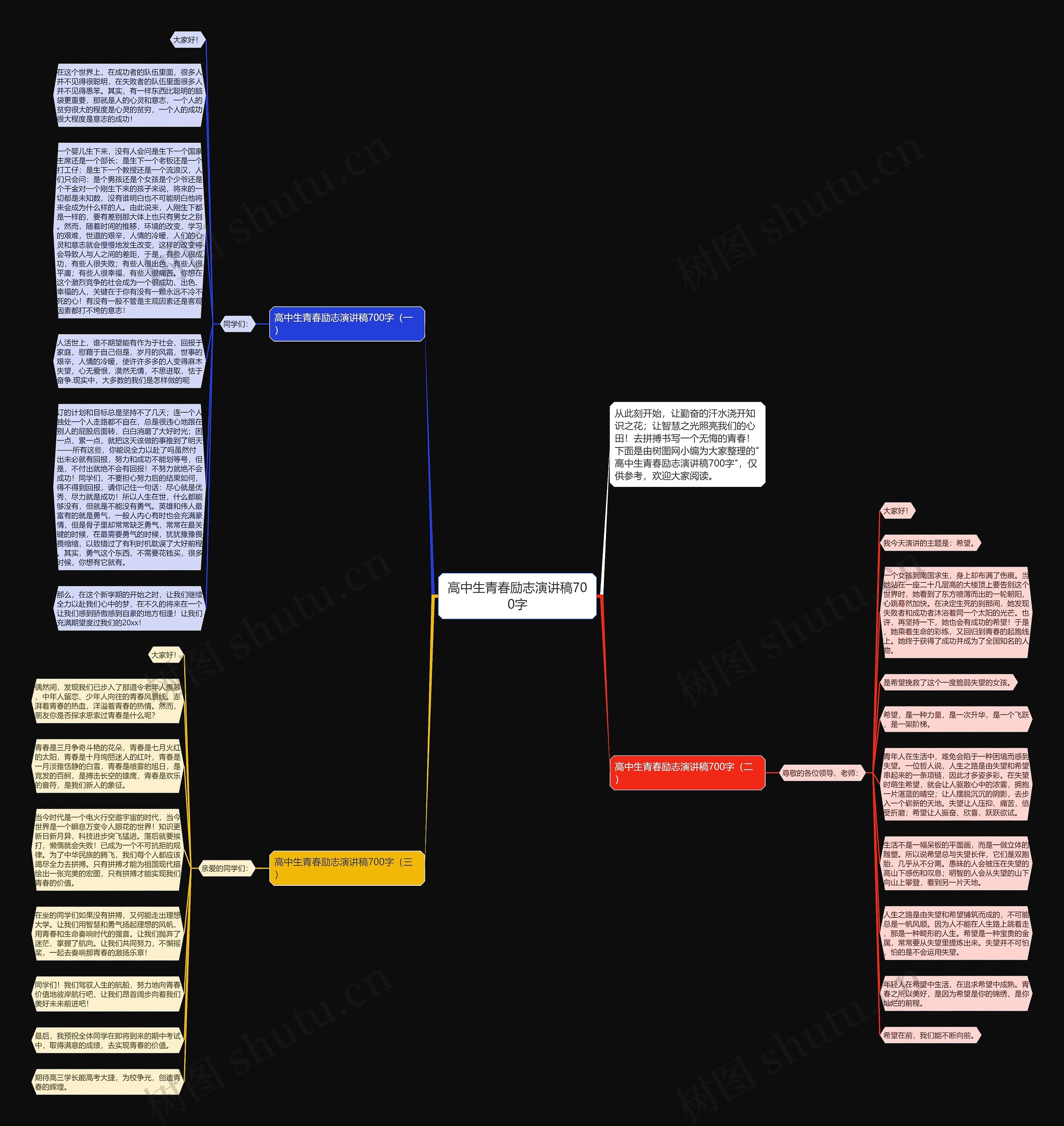 高中生青春励志演讲稿700字思维导图