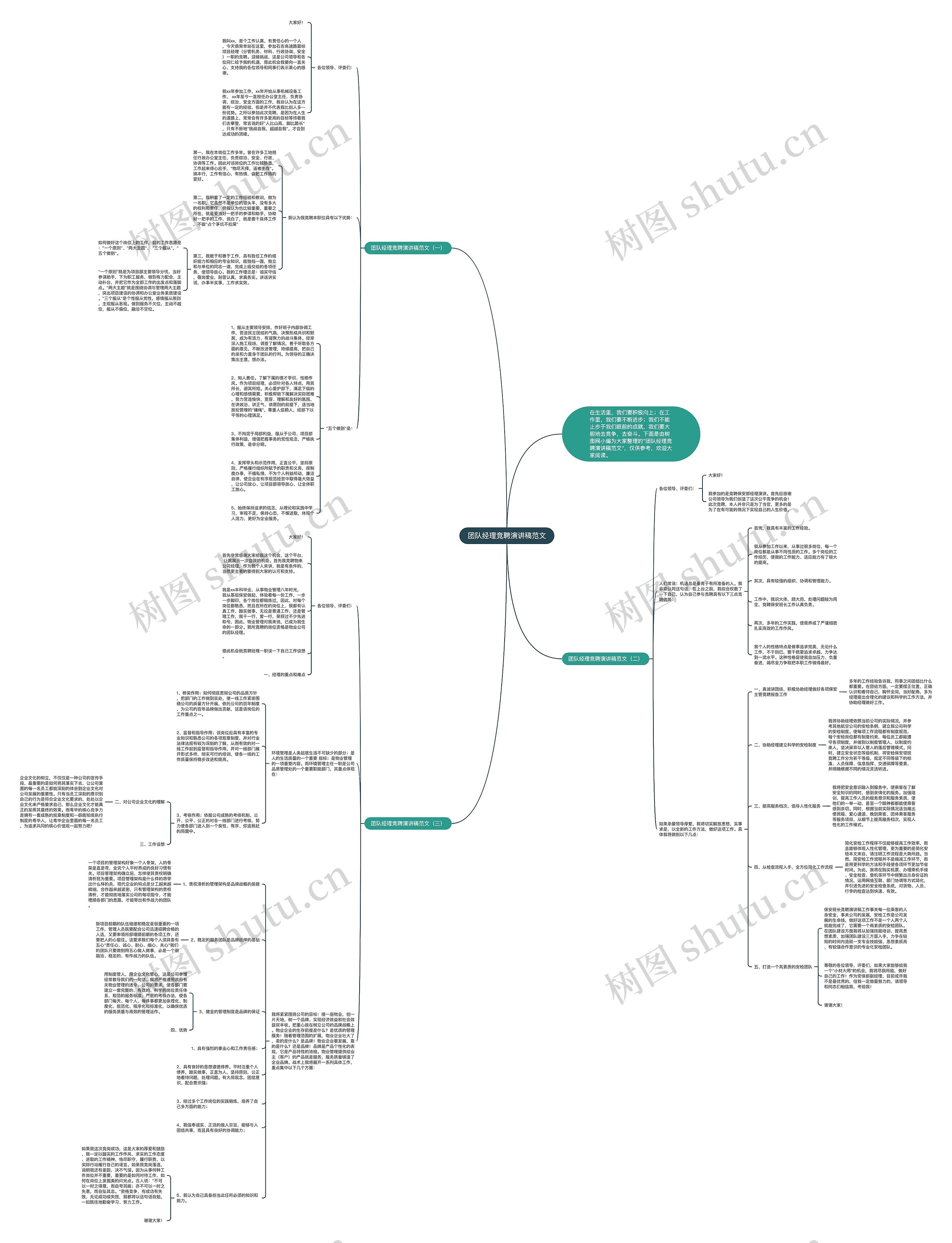 团队经理竞聘演讲稿范文思维导图