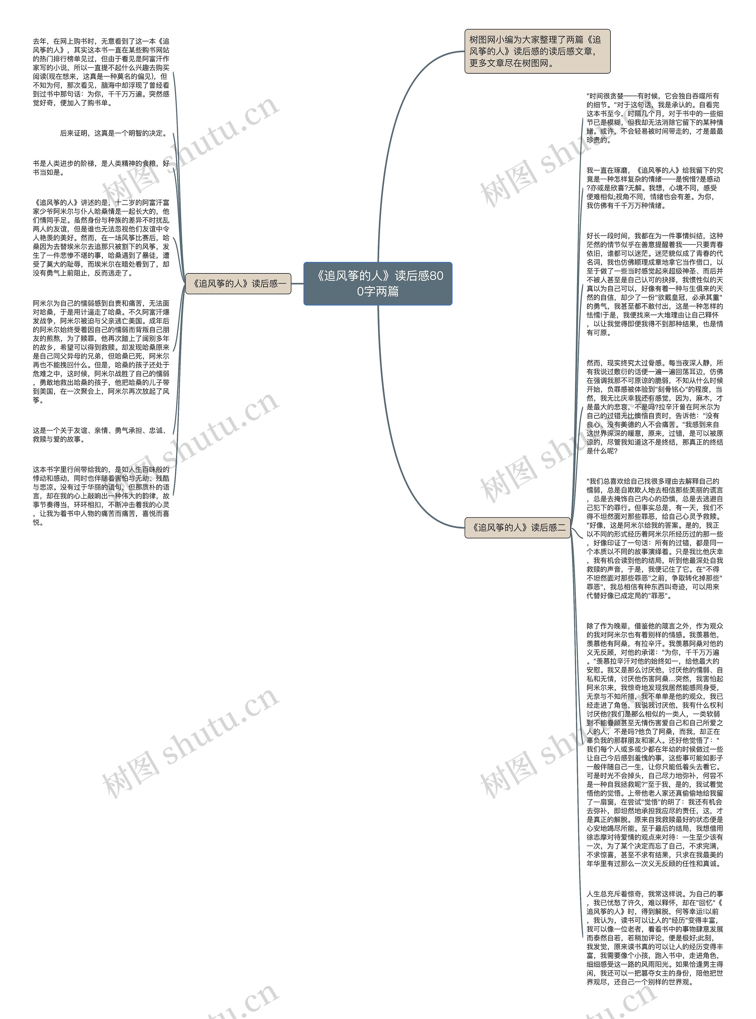 《追风筝的人》读后感800字两篇思维导图