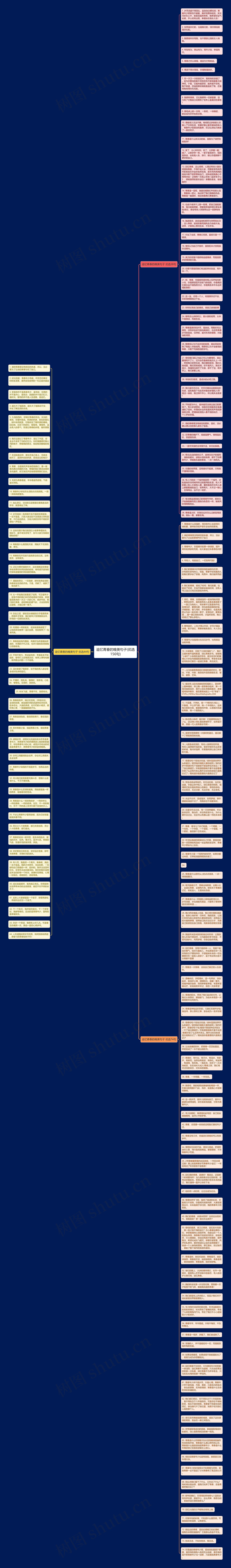 追忆青春的唯美句子(优选156句)思维导图