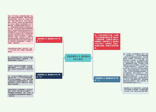 《追风筝的人》读后感400字小学生