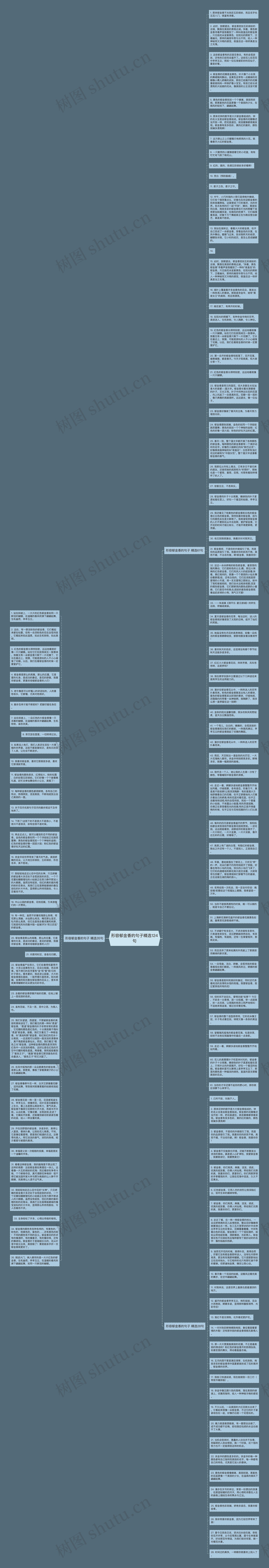 形容郁金香的句子精选124句思维导图