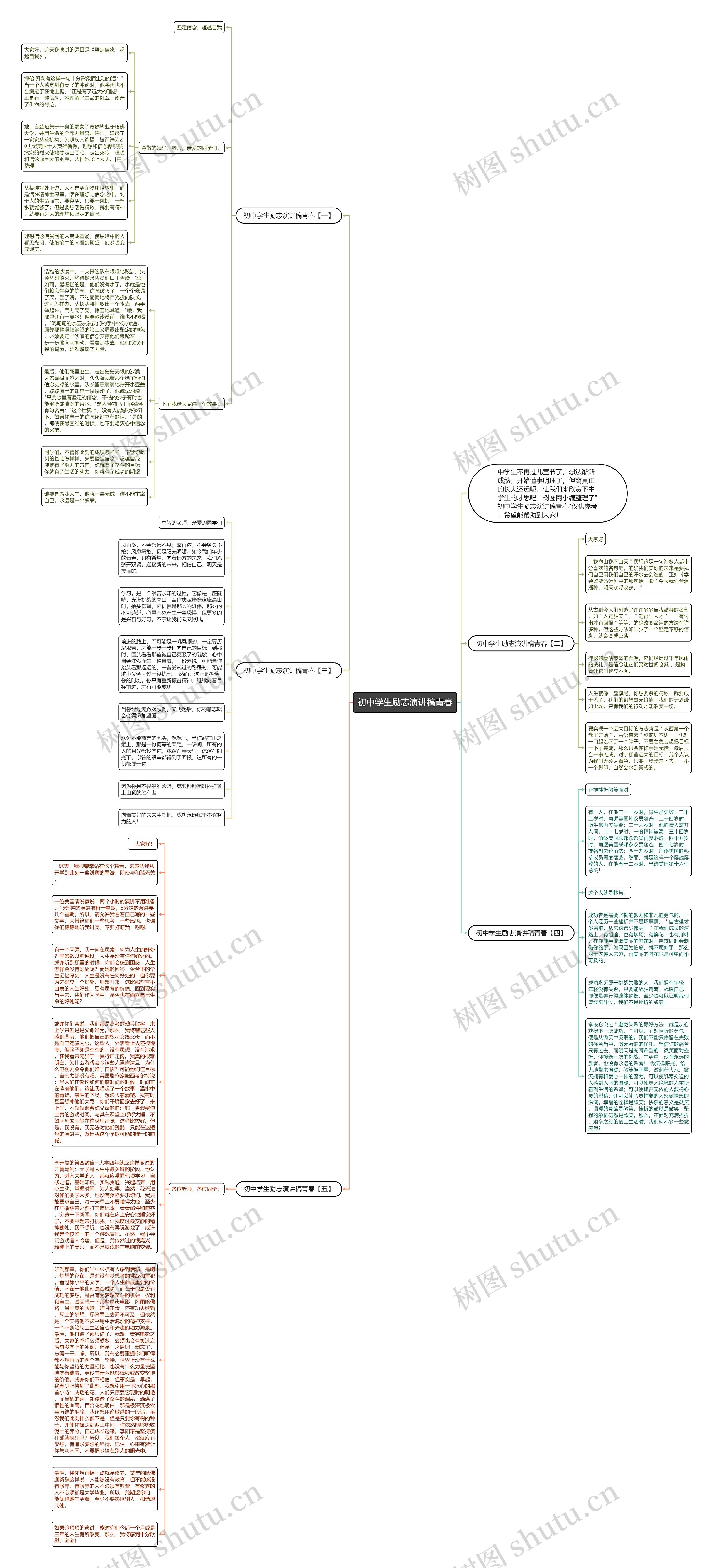 初中学生励志演讲稿青春思维导图