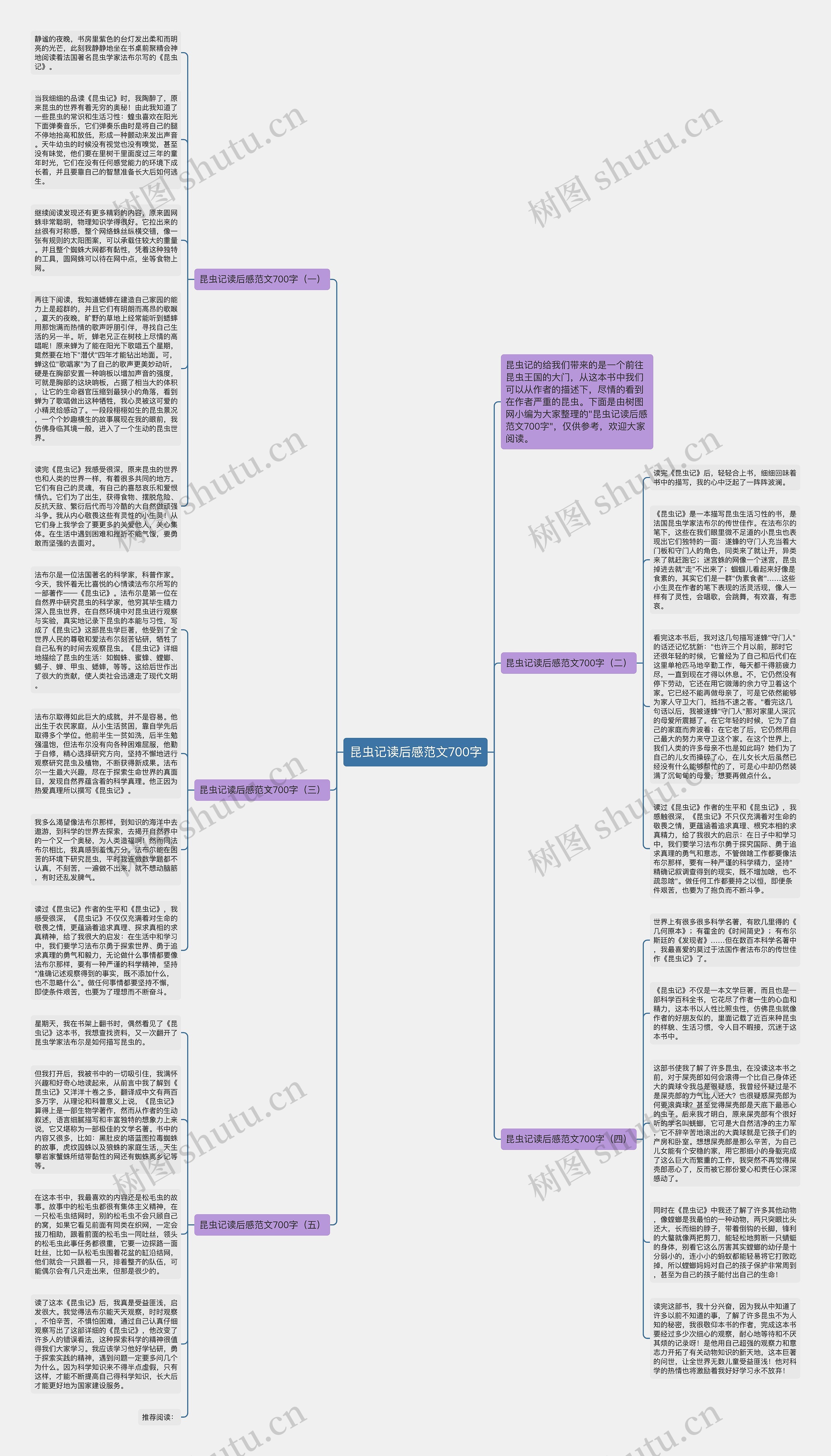 昆虫记读后感范文700字思维导图