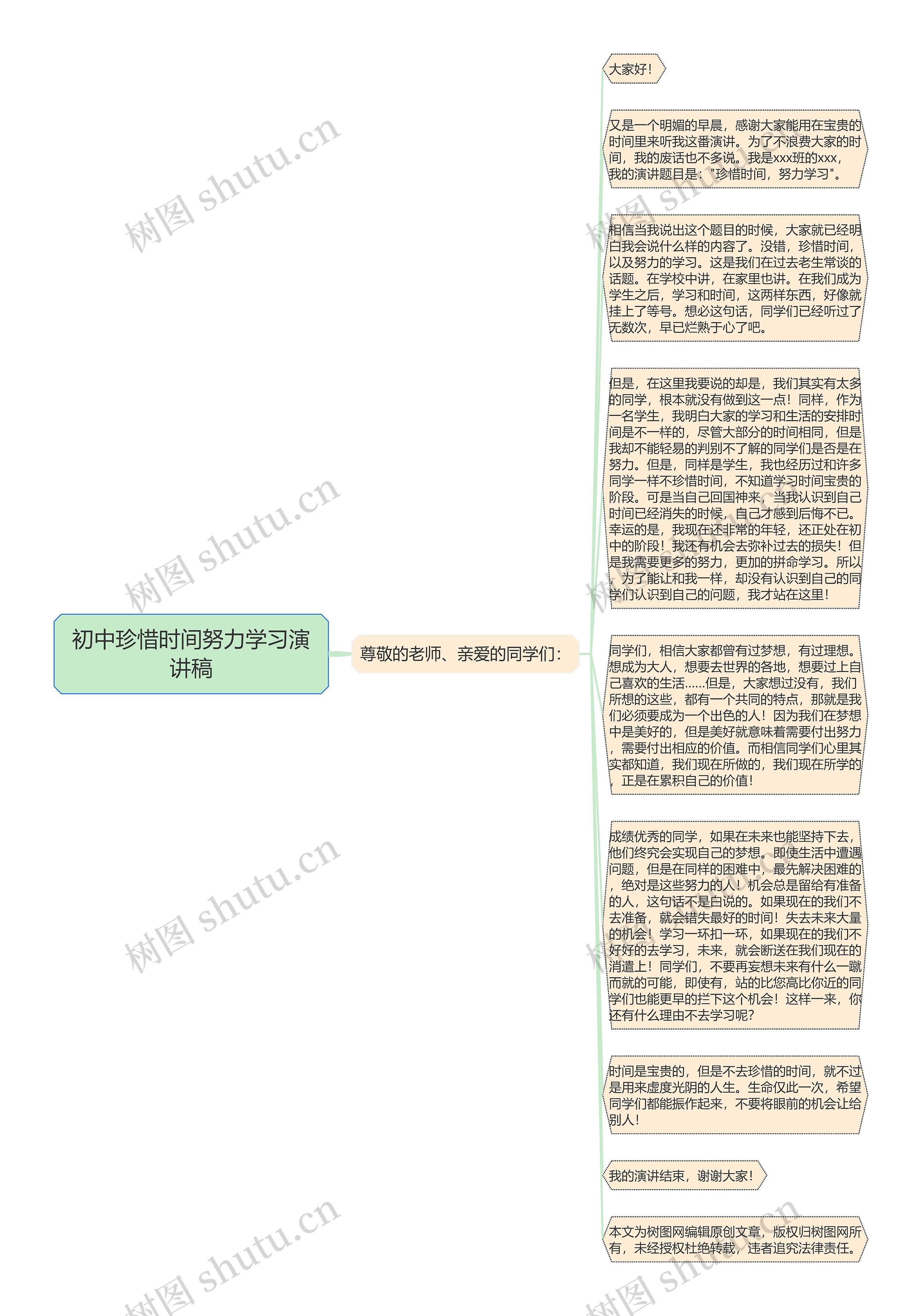 初中珍惜时间努力学习演讲稿思维导图