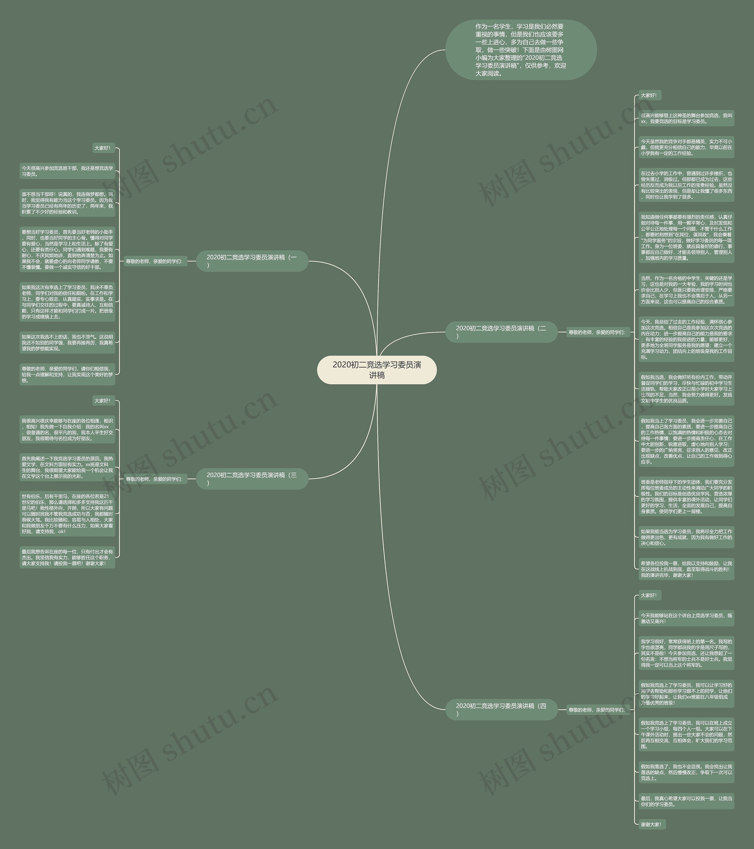 2020初二竞选学习委员演讲稿思维导图