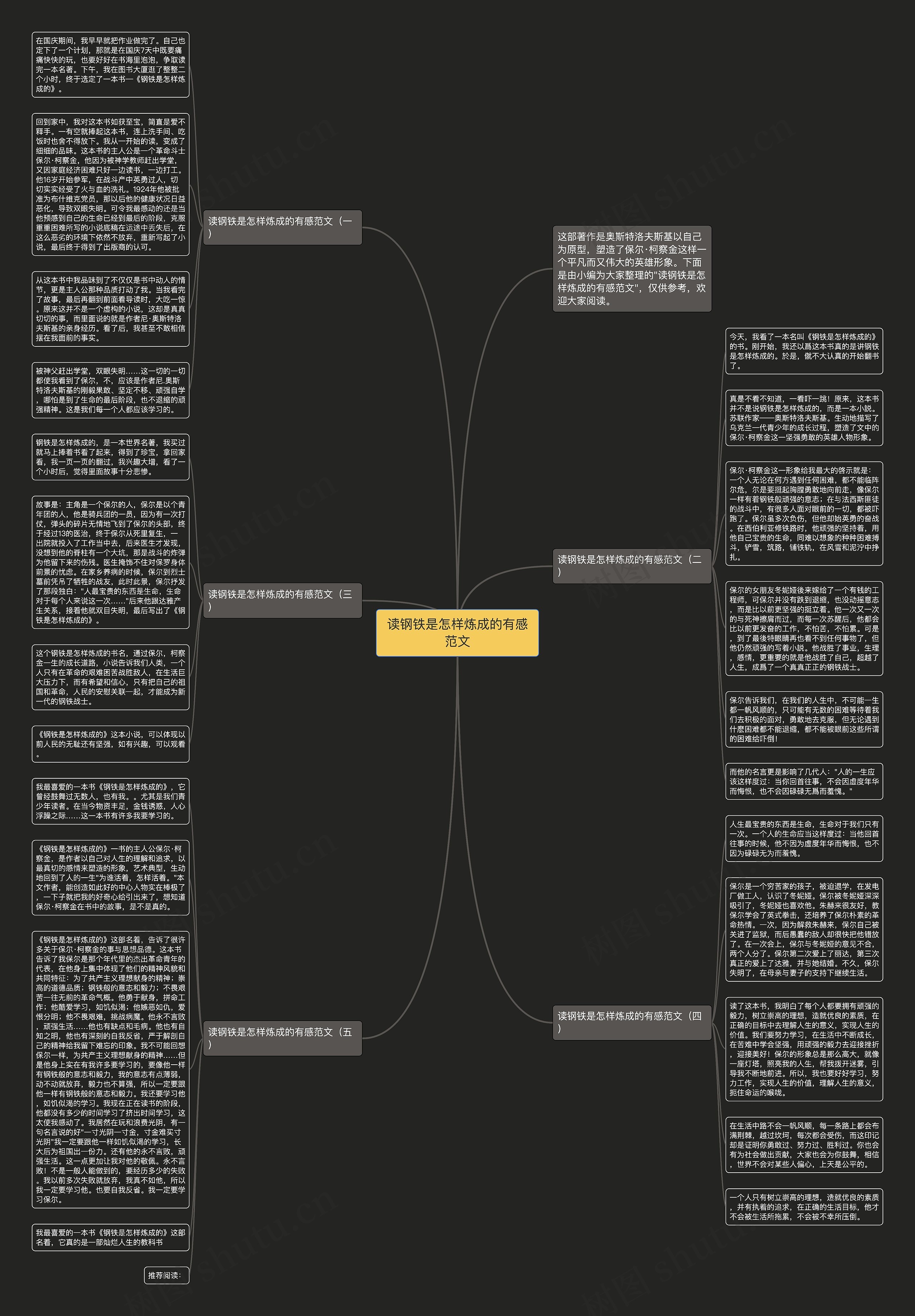读钢铁是怎样炼成的有感范文思维导图