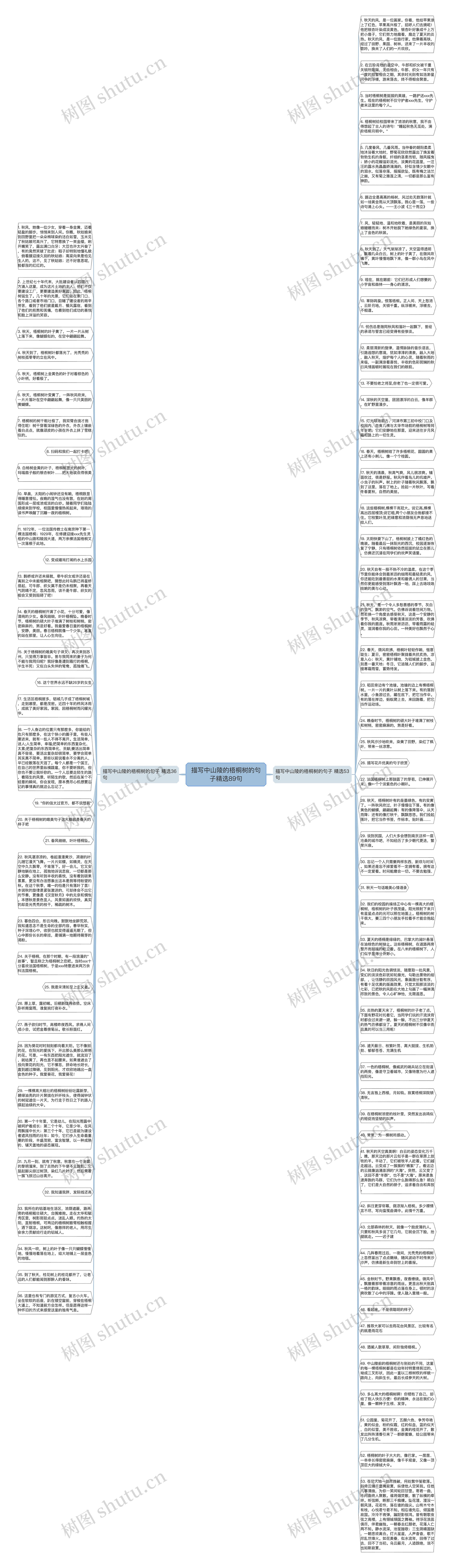 描写中山陵的梧桐树的句子精选89句思维导图