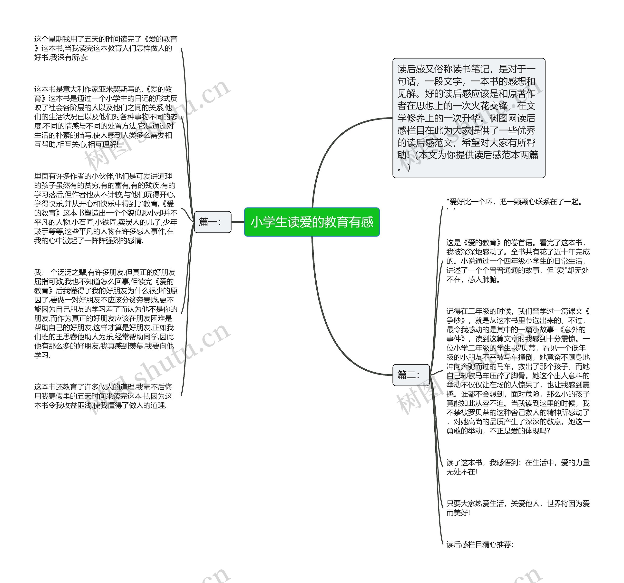 小学生读爱的教育有感