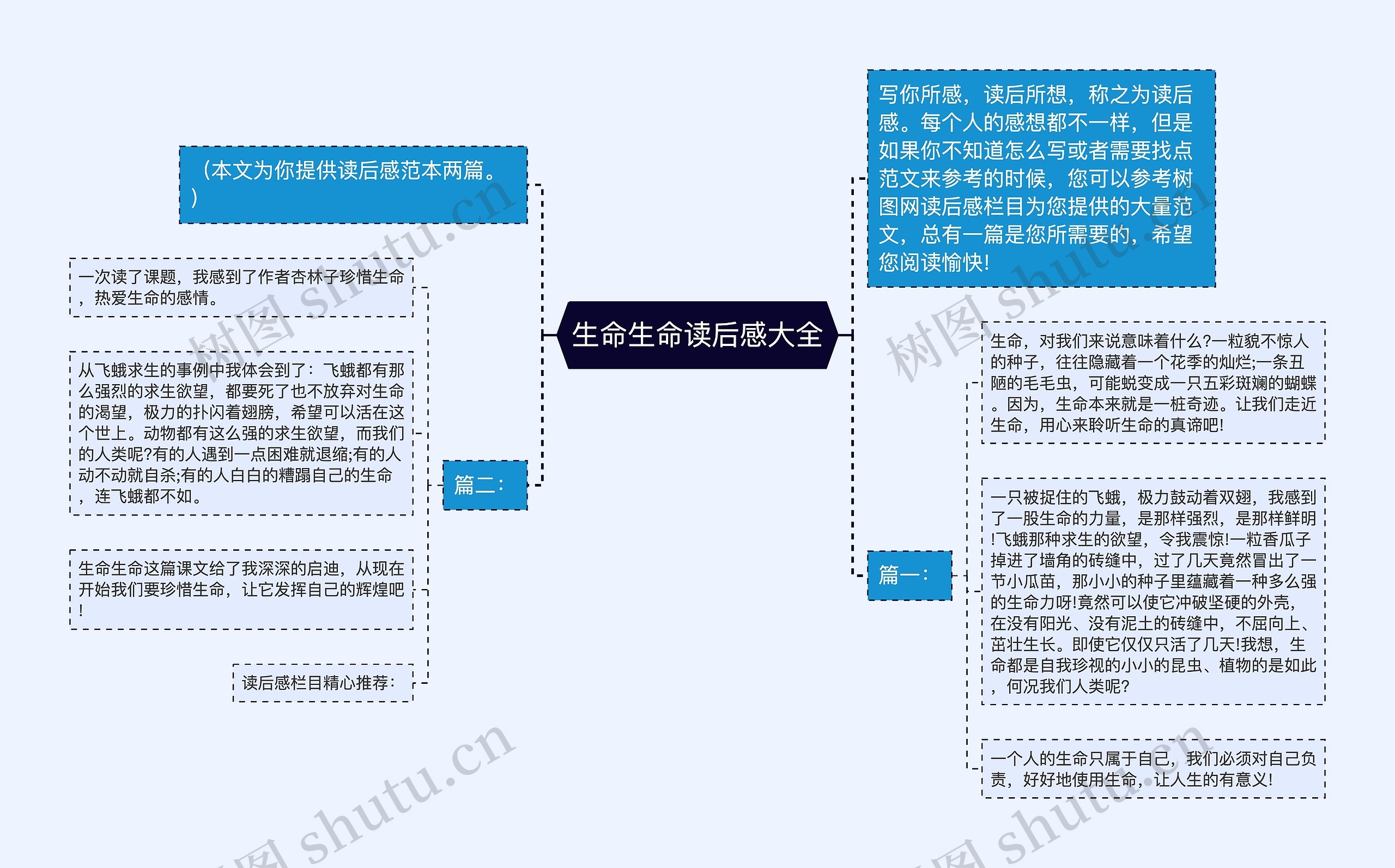 生命生命读后感大全