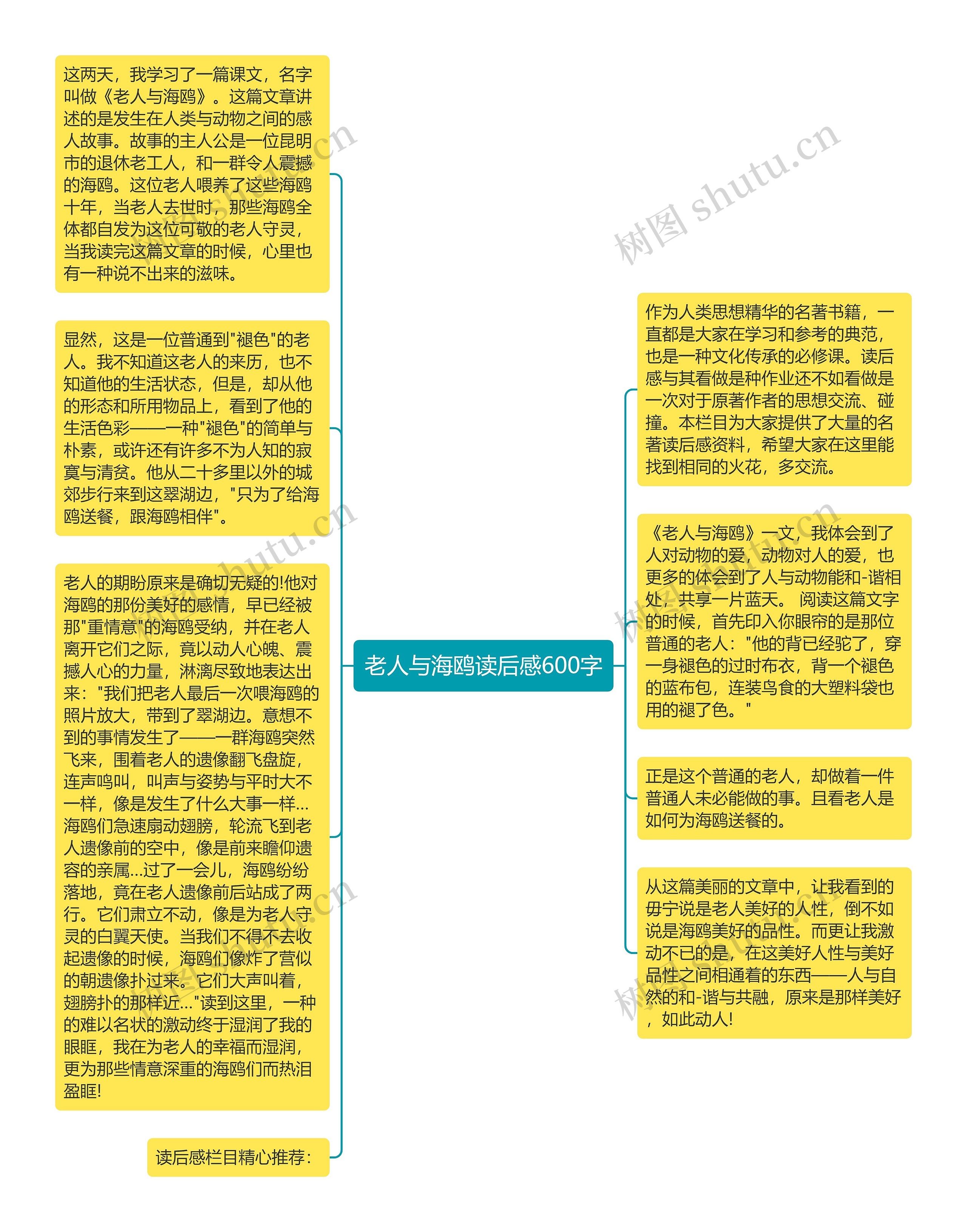 老人与海鸥读后感600字思维导图