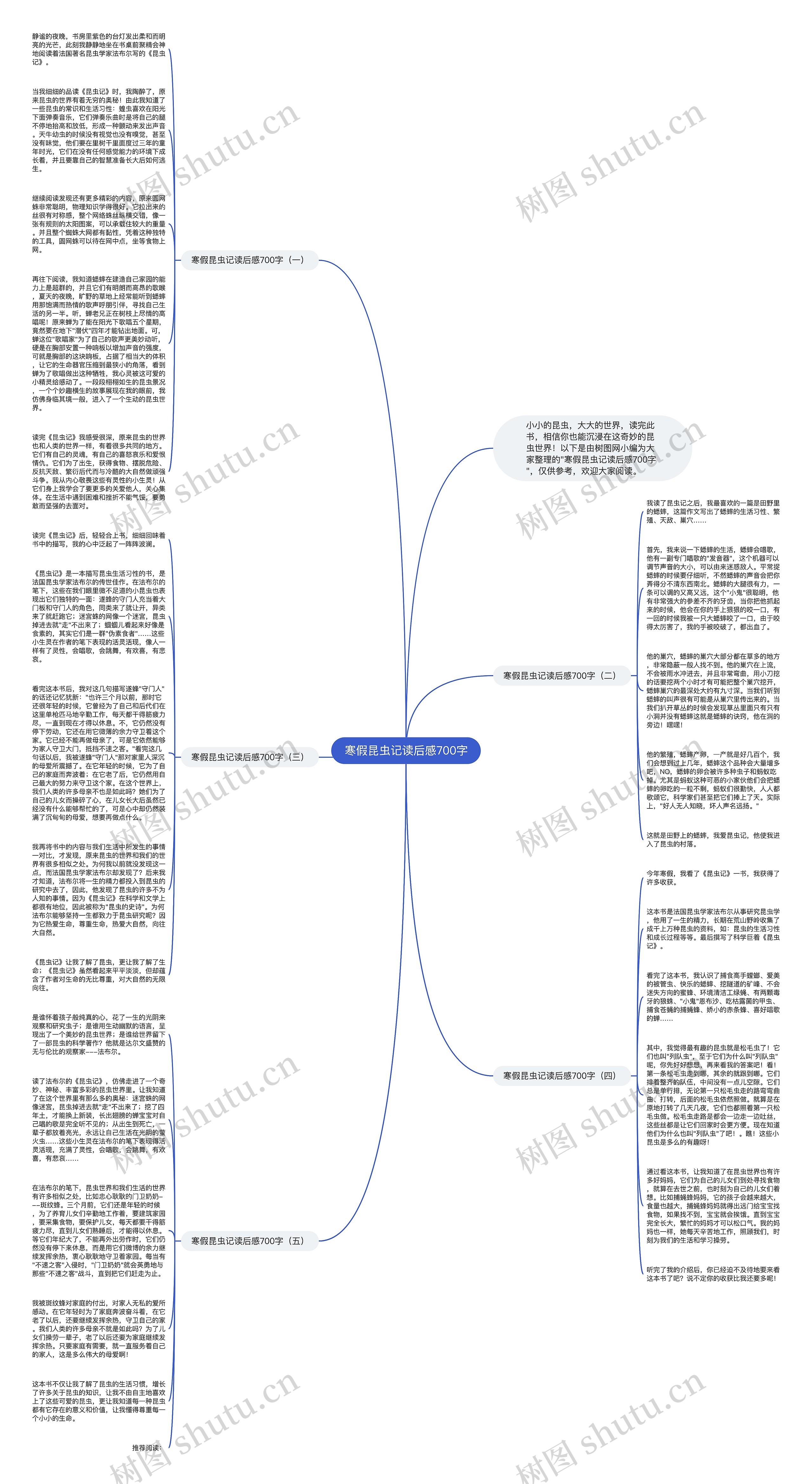 寒假昆虫记读后感700字思维导图