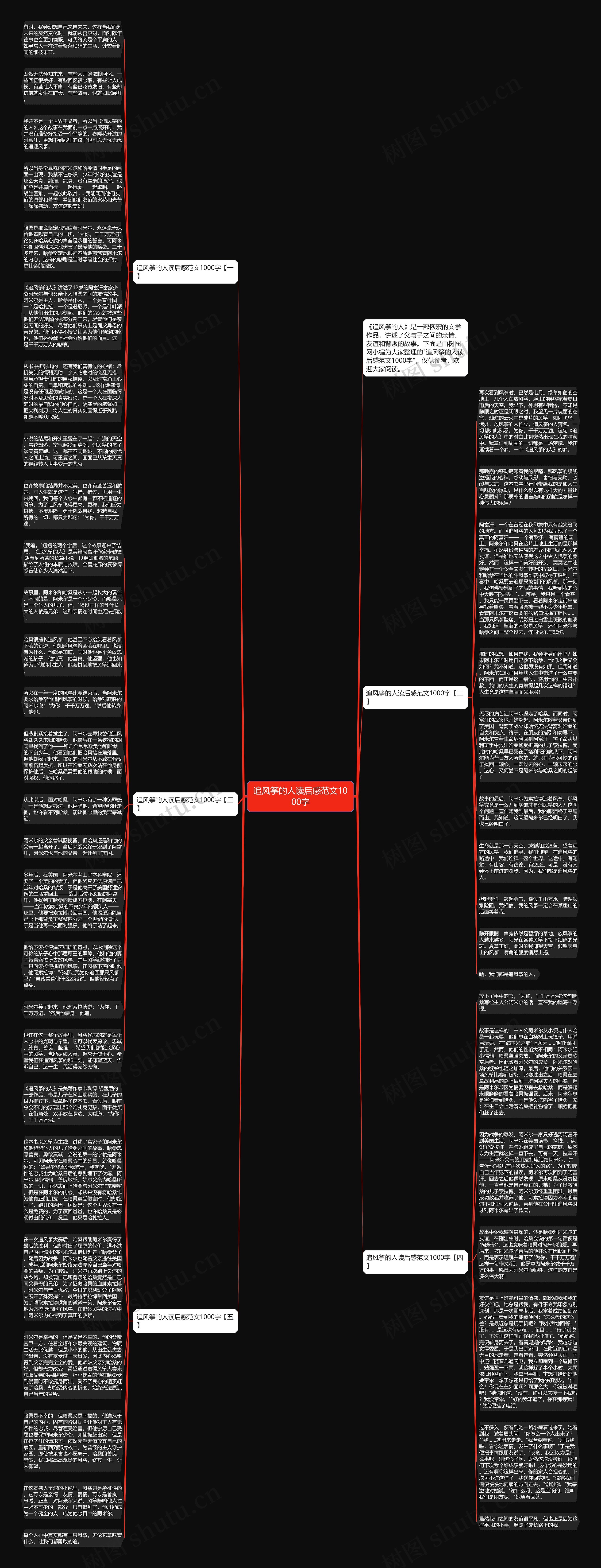 追风筝的人读后感范文1000字思维导图