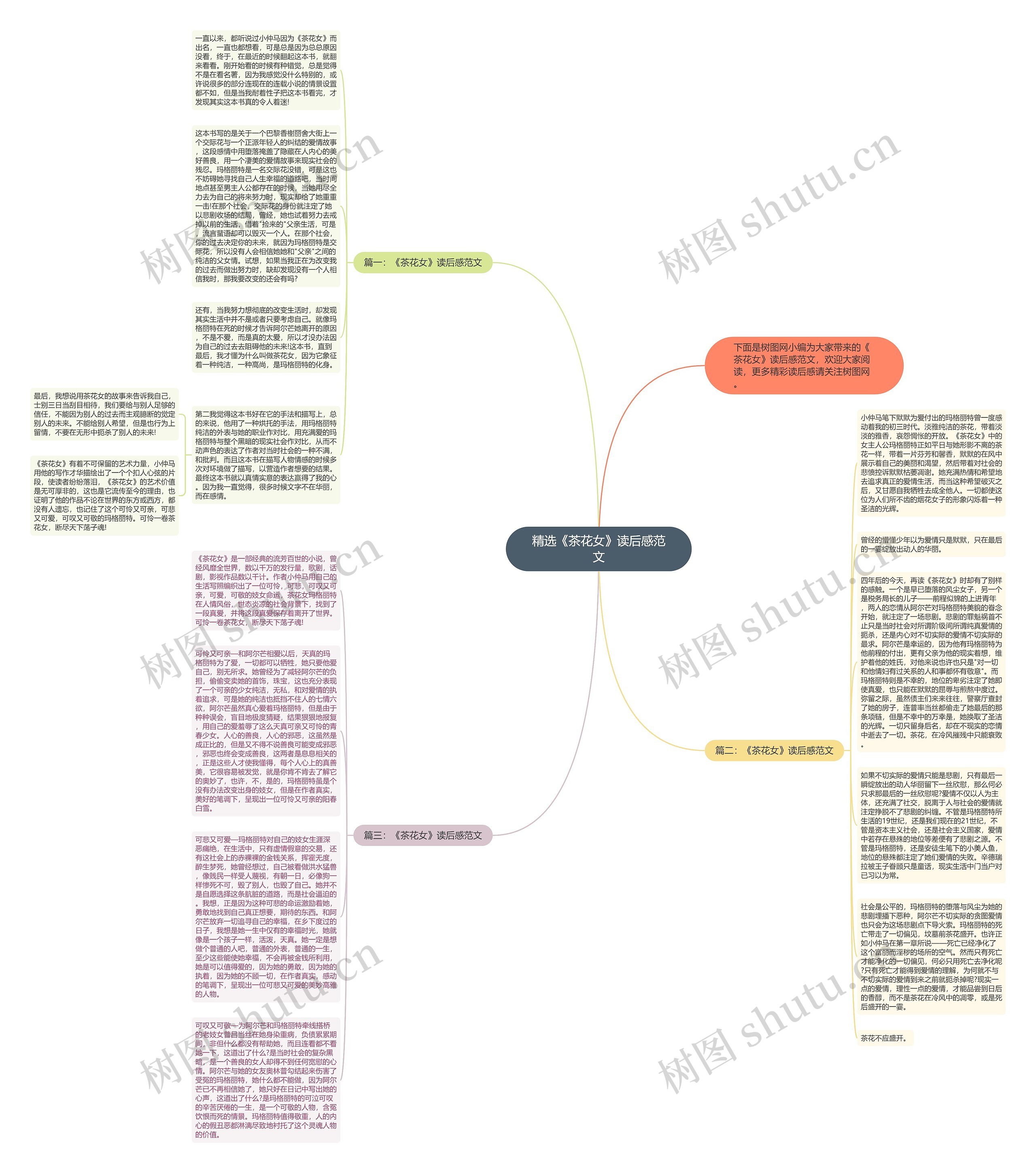 精选《茶花女》读后感范文思维导图