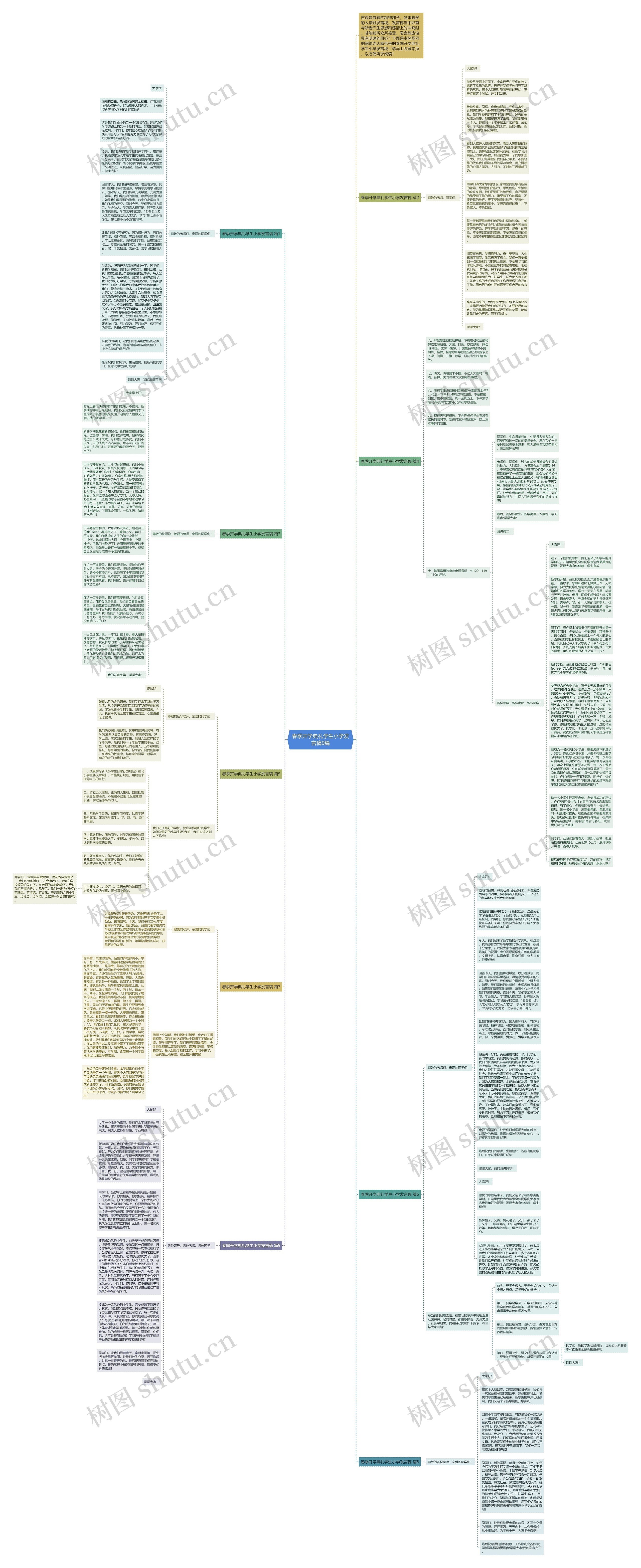 春季开学典礼学生小学发言稿9篇思维导图