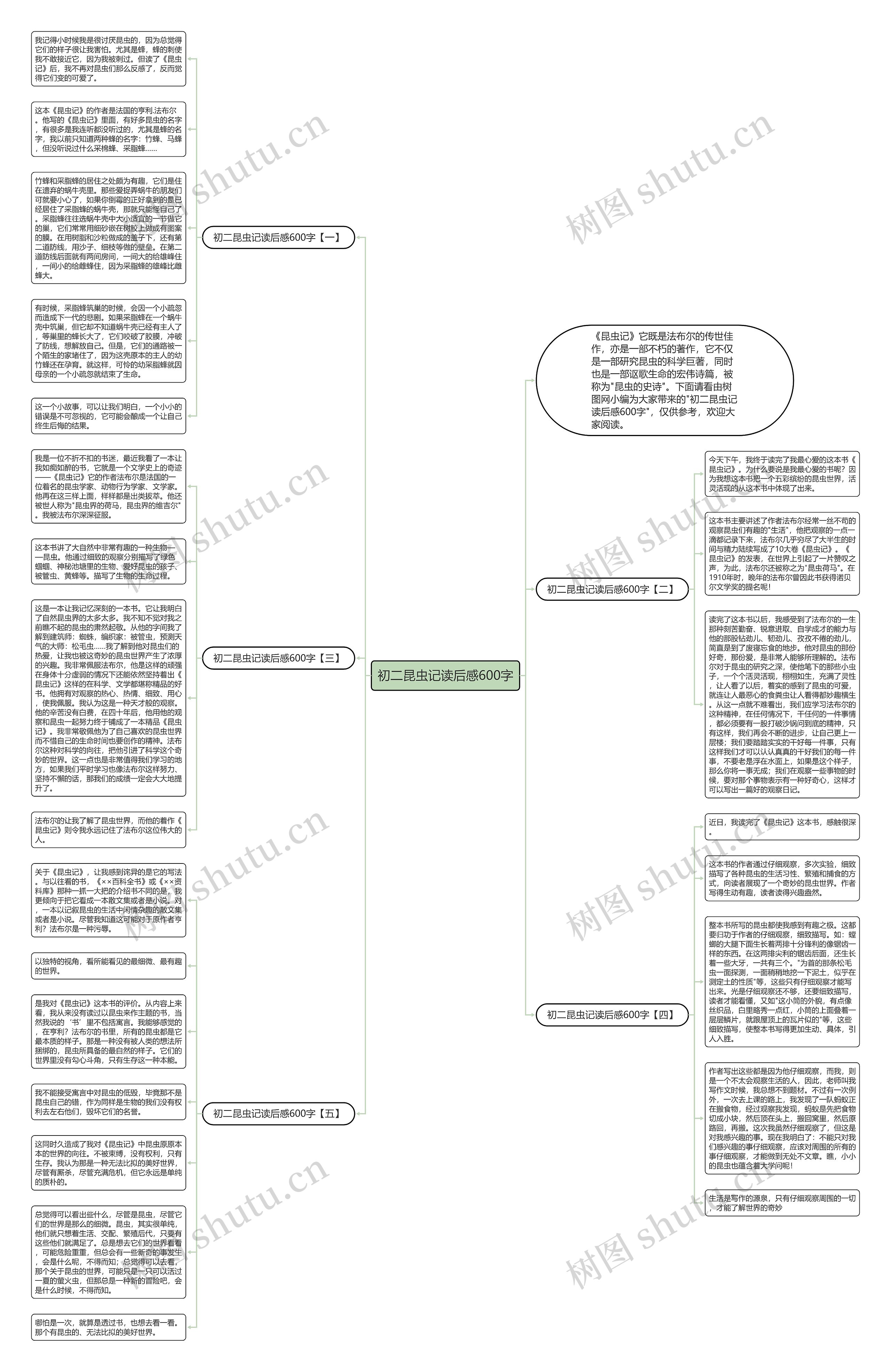 初二昆虫记读后感600字思维导图