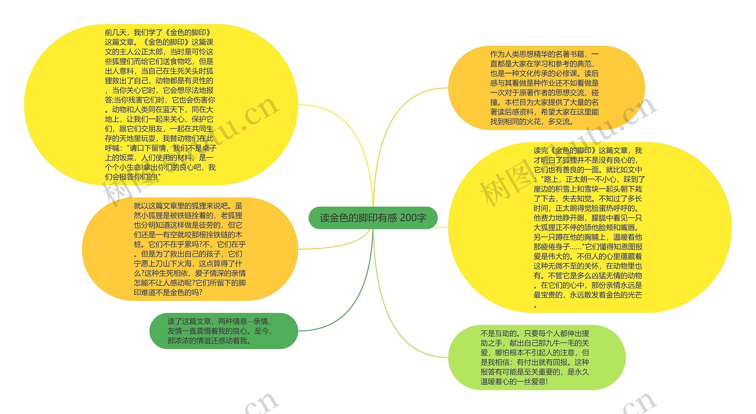 读金色的脚印有感 200字