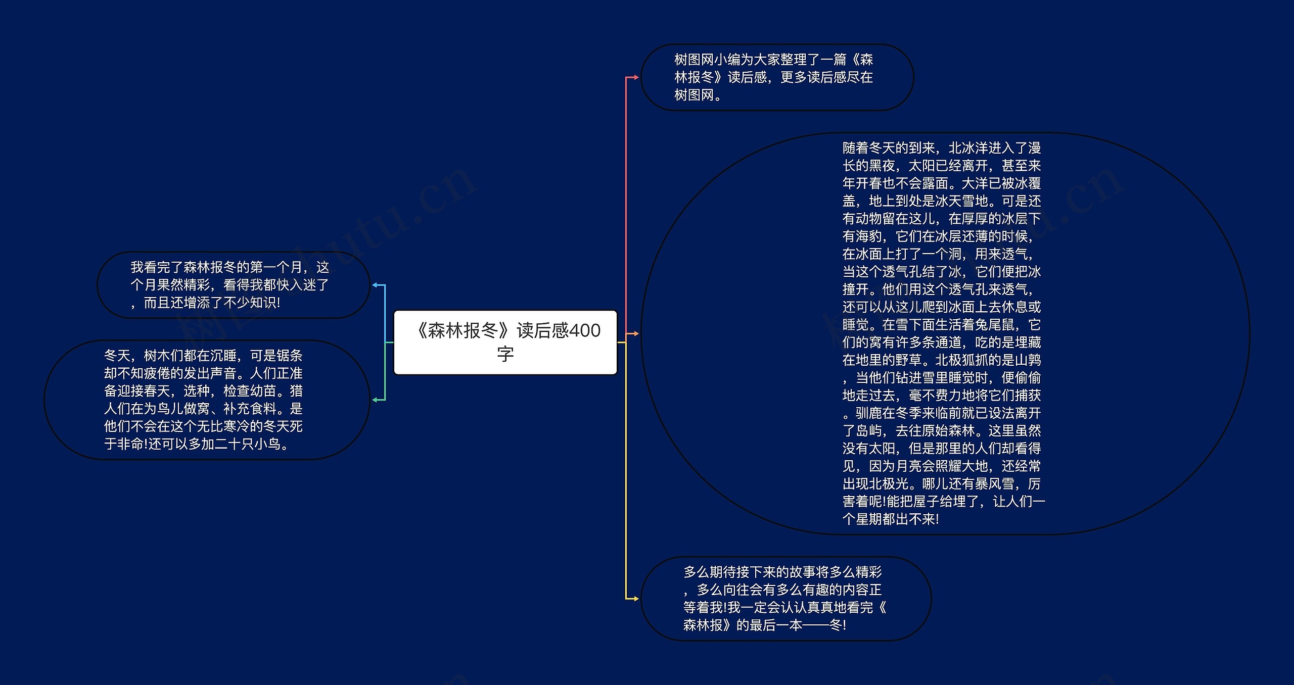 《森林报冬》读后感400字思维导图