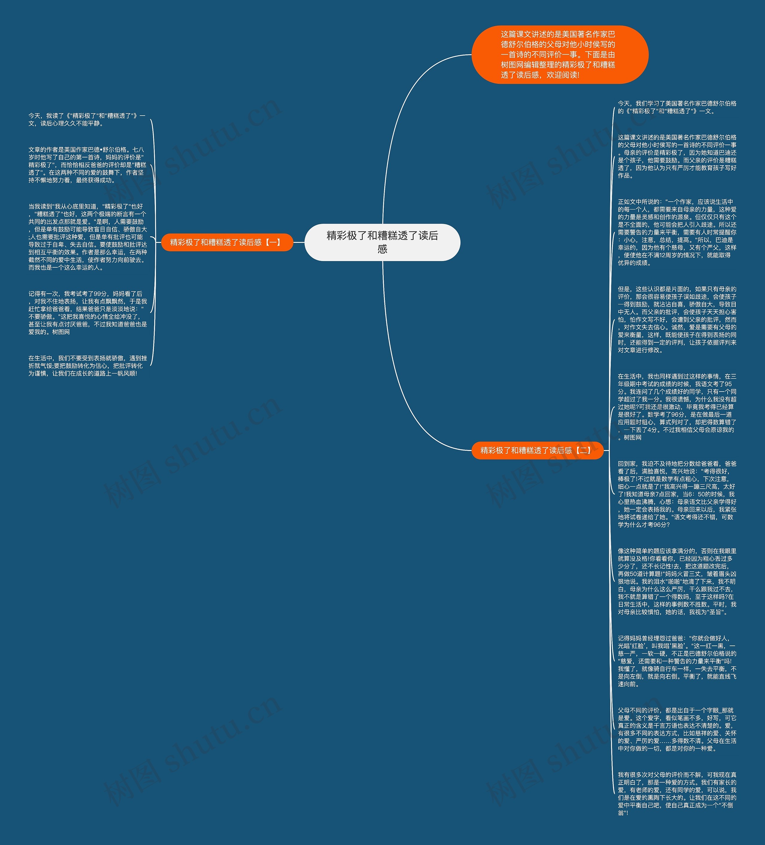精彩极了和糟糕透了读后感思维导图