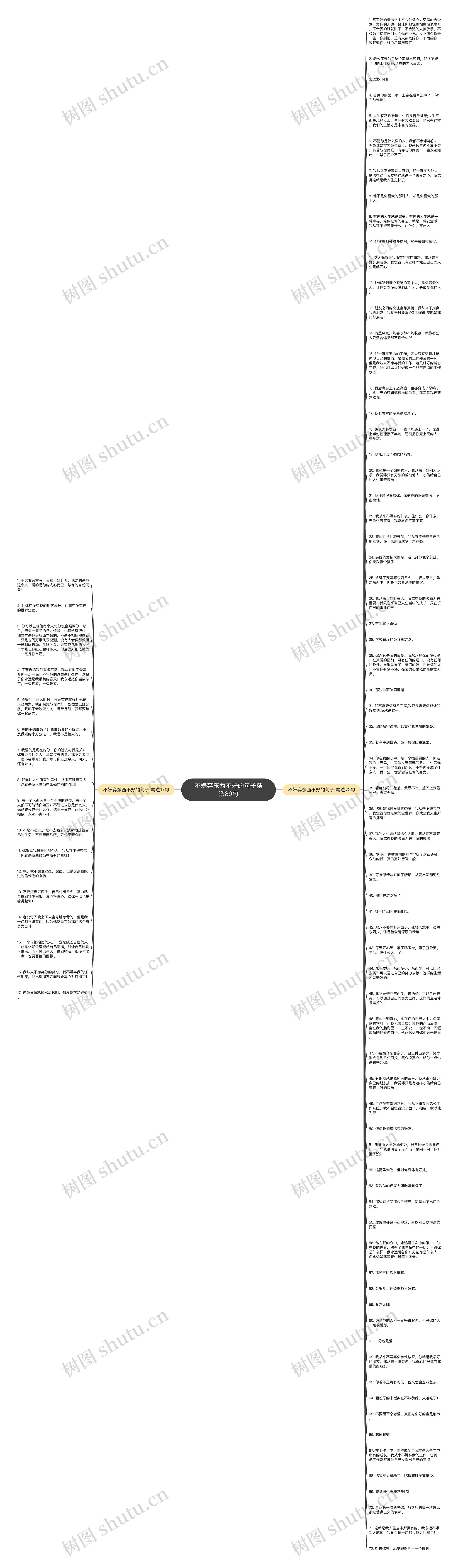 不嫌弃东西不好的句子精选89句思维导图
