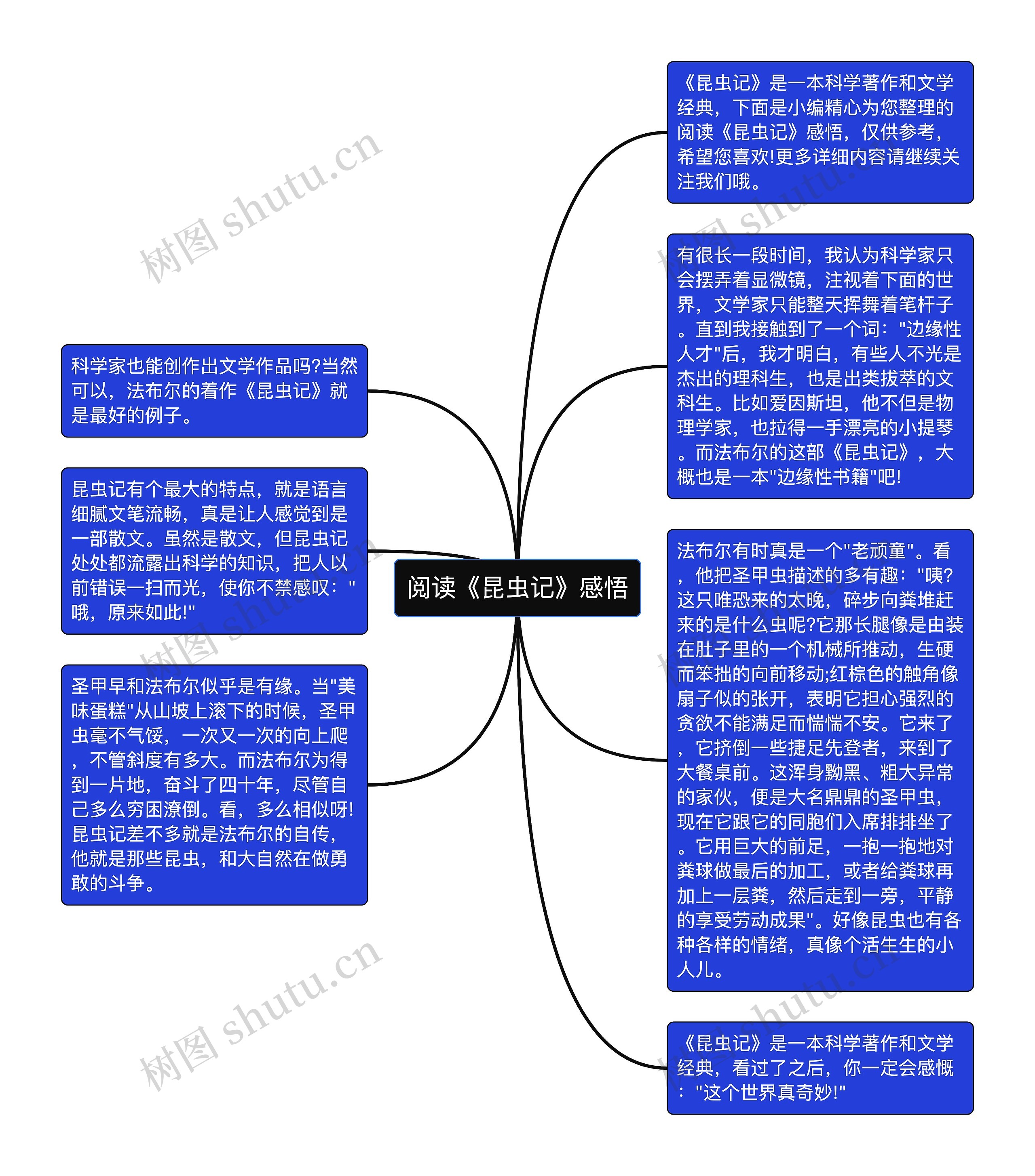 阅读《昆虫记》感悟