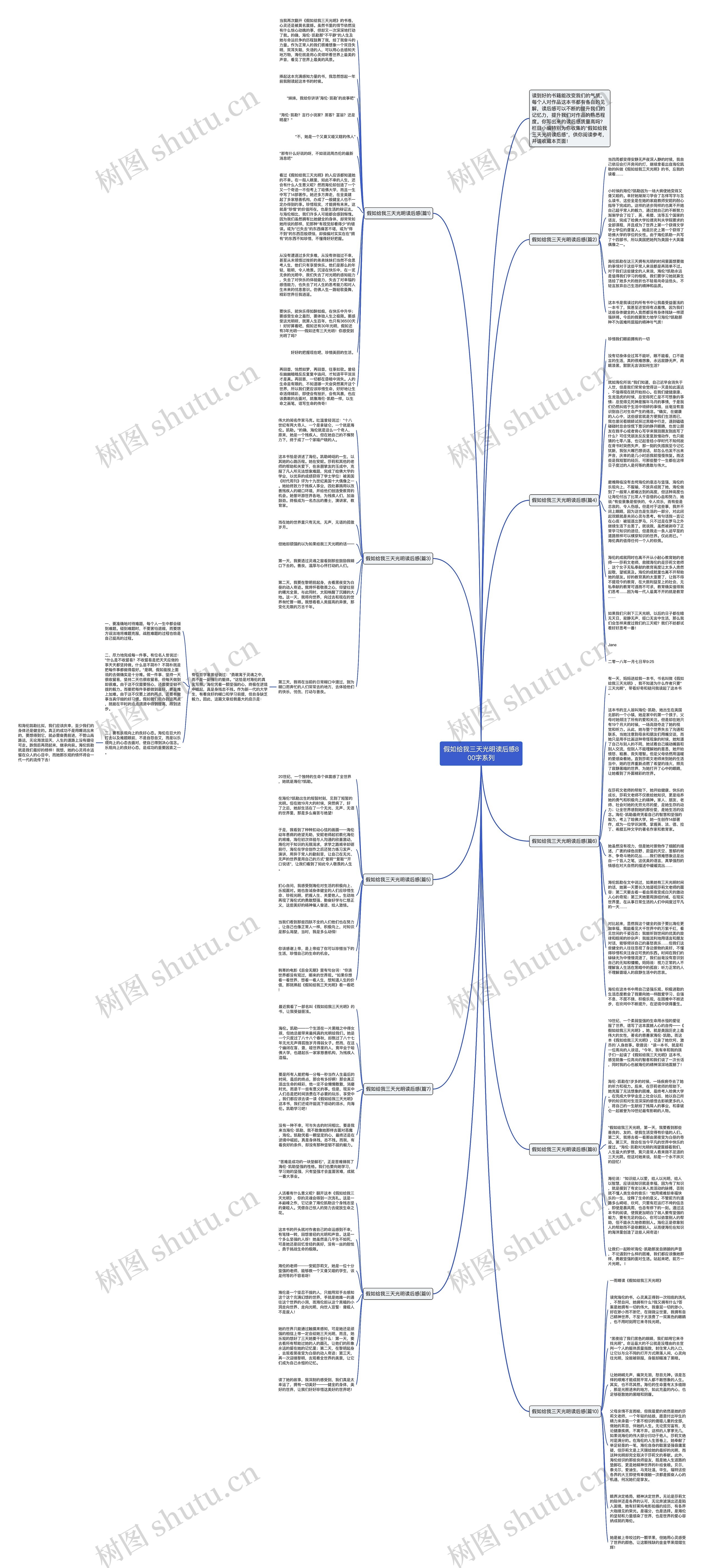假如给我三天光明读后感800字系列思维导图